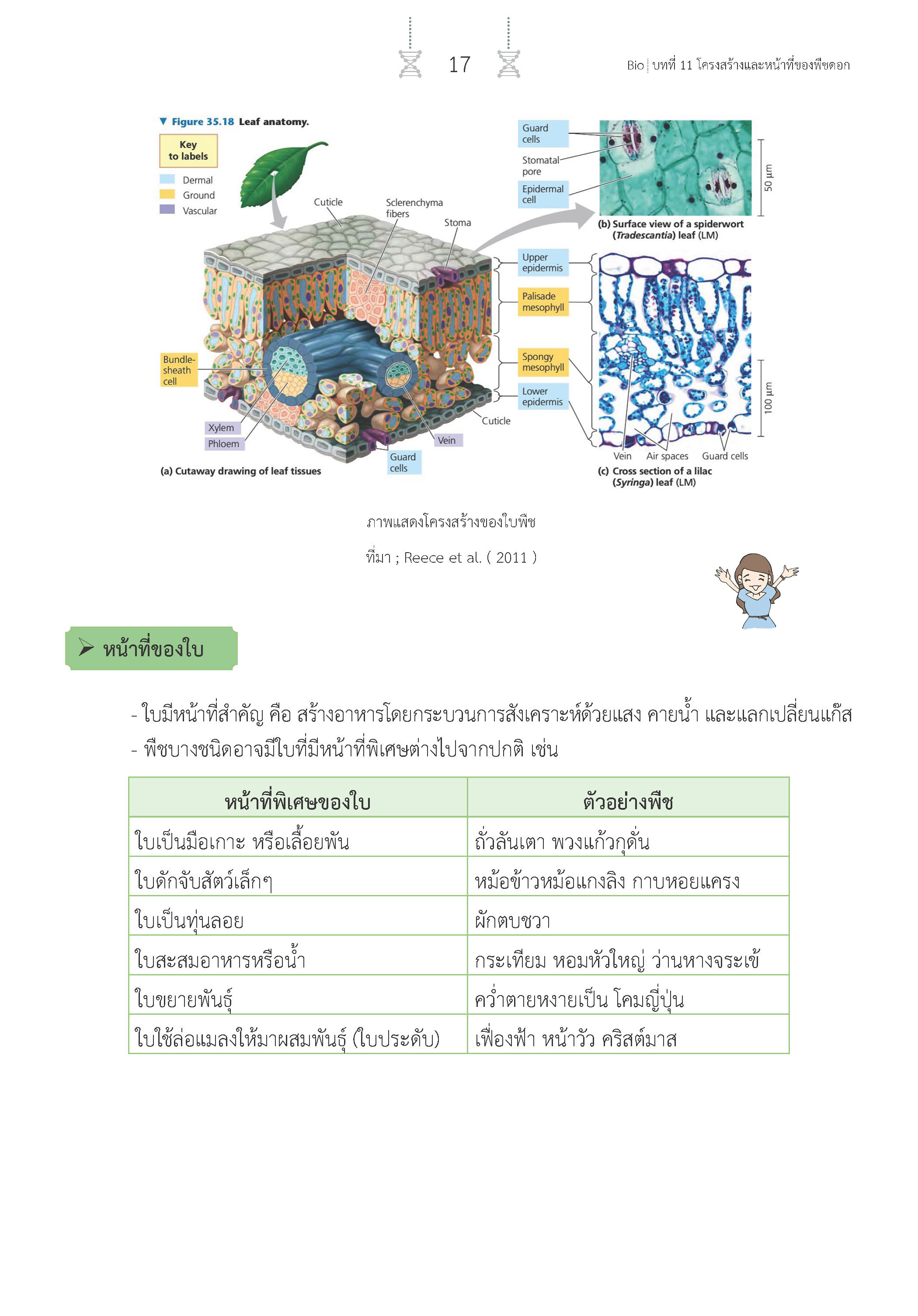 สรุปเข้ม ชีววิทยา เล่ม 2 (พิมพ์ 4 สี)