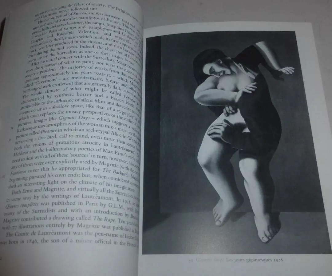 magritte suzi gablik