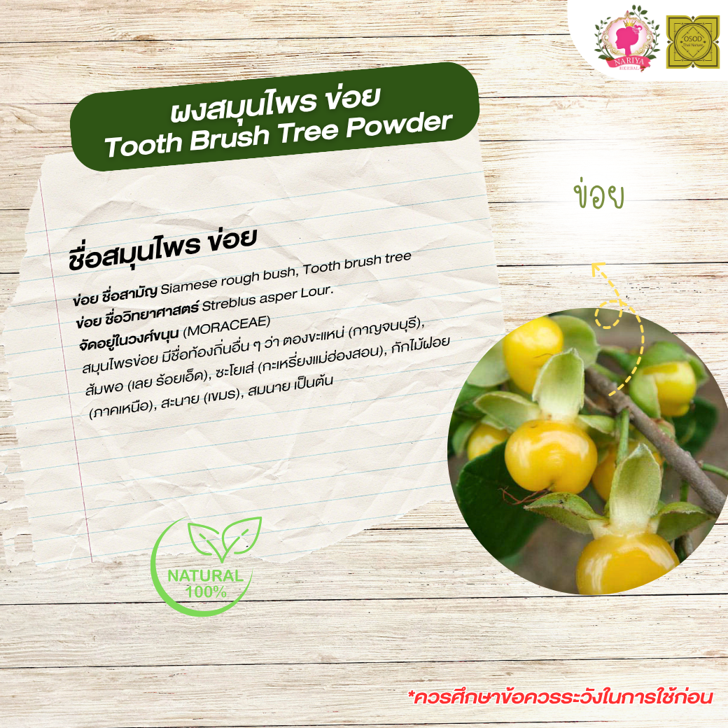 ผงข่อย (ส่วนของต้นและราก) (Toothbrush Tree Powder) ขนาด 500 1000 กรัม ข่อย บดละเอียด สมุนไพร แท้ 100% FG-HBP-024