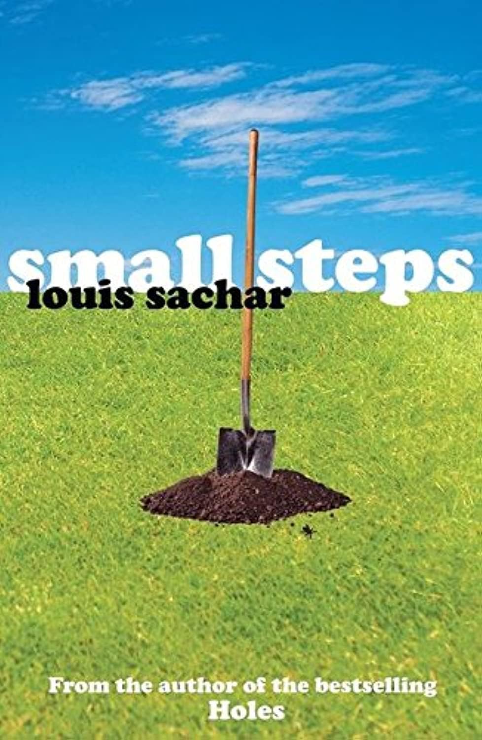 Small Steps : Louis Sachar