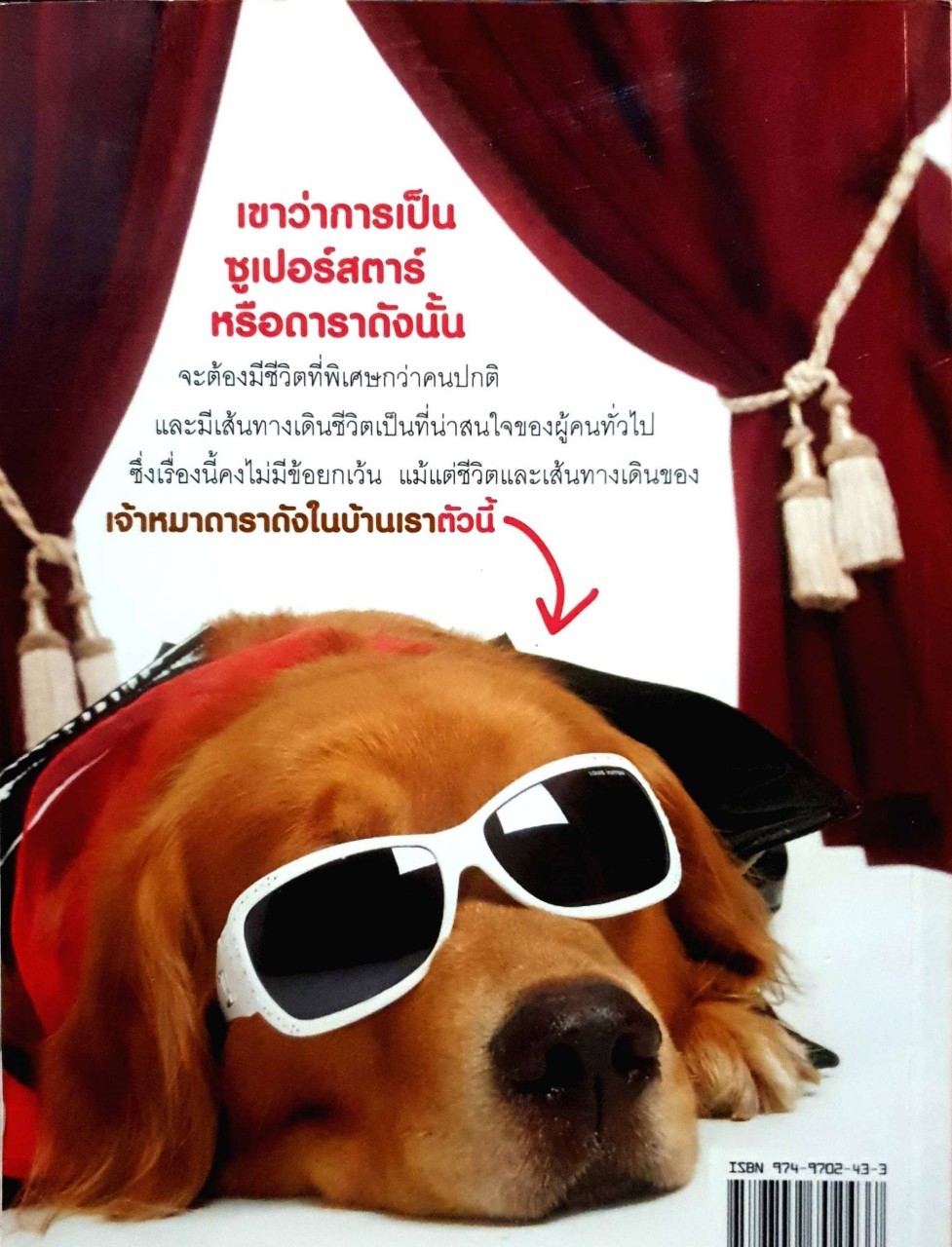 ผมชื่อคิงคองคร้าบ เล่ม 3 ตอน ซูเปอร์สตาร์สี่ขา