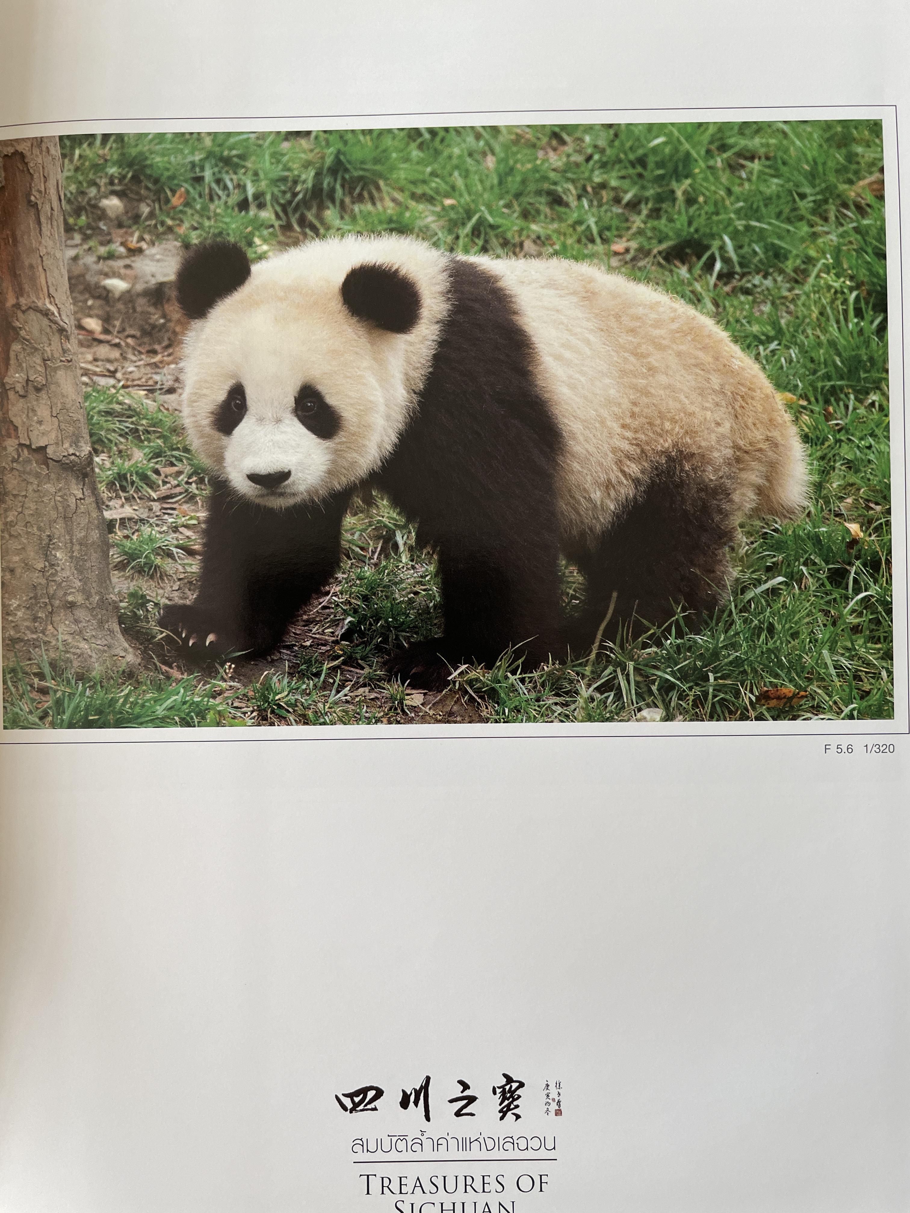 สมบัติล้ำค่าแห่งเสฉวน Treasures of Sichuan. David Lau’s Photo Collection 5 กก. ปกแข็ง