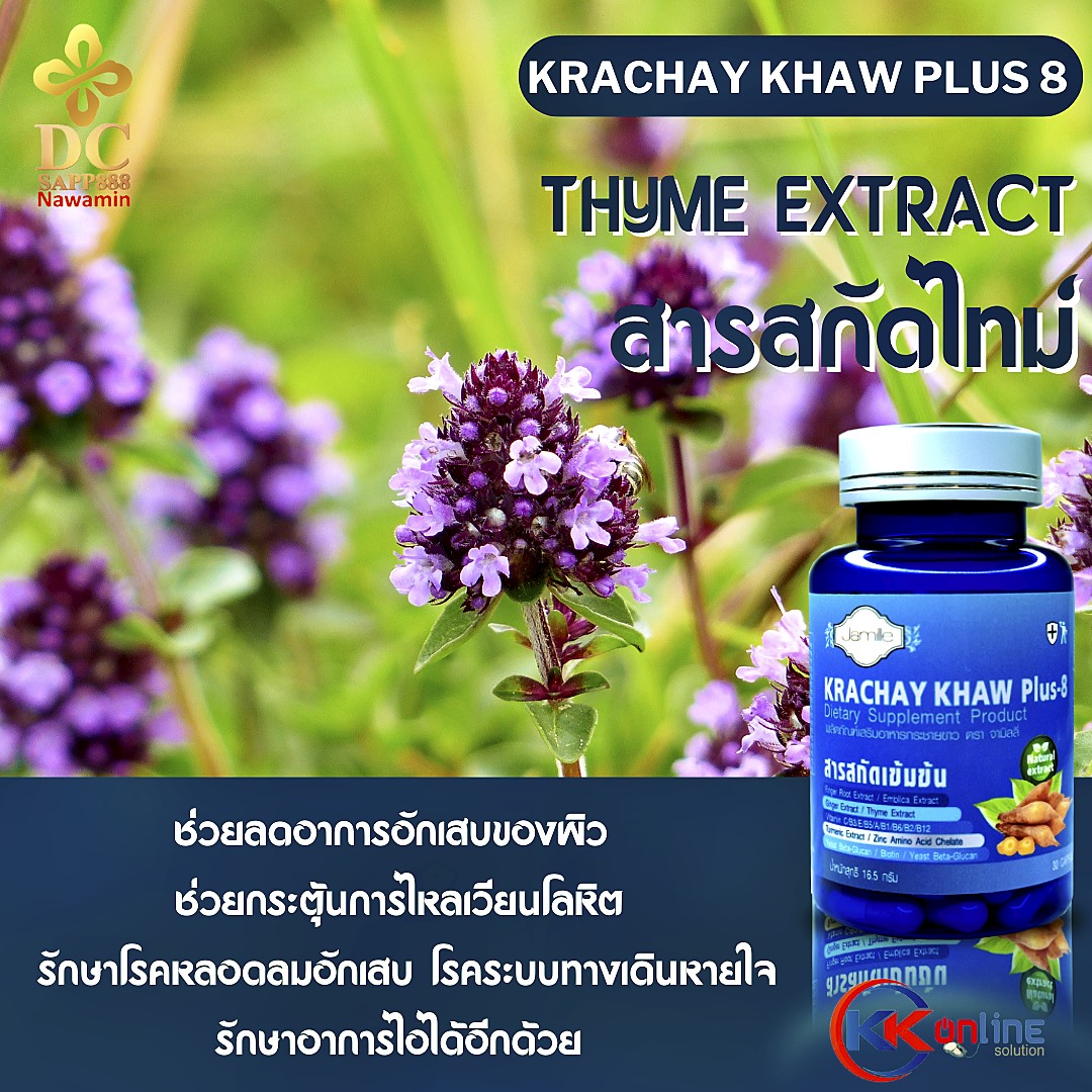 กระชายขาว,กระชายขาวพลัส8,กระชายขาว พลัส 8,กระชายขาว พลัส8,Krachay khaw plus 8,เสริมสร้างภูมิคุ้มกัน,ยับยั้งไวรัส,โตวิด19,covid19,sapp888