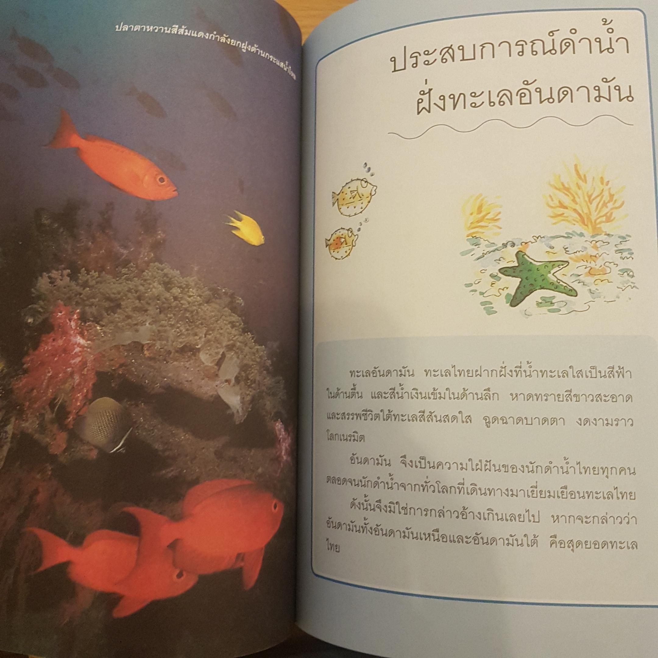 ดำน้ำสู่อัศจรรย์ แห่งทะเลลึก