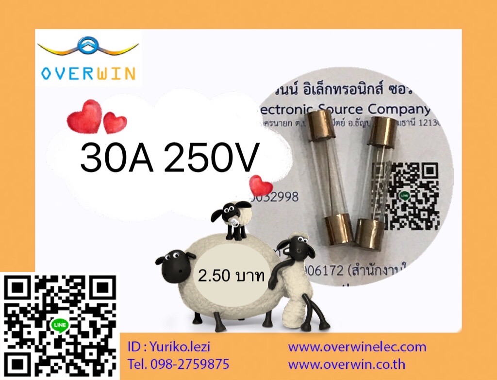 30A 250V FUSE 6*30mm