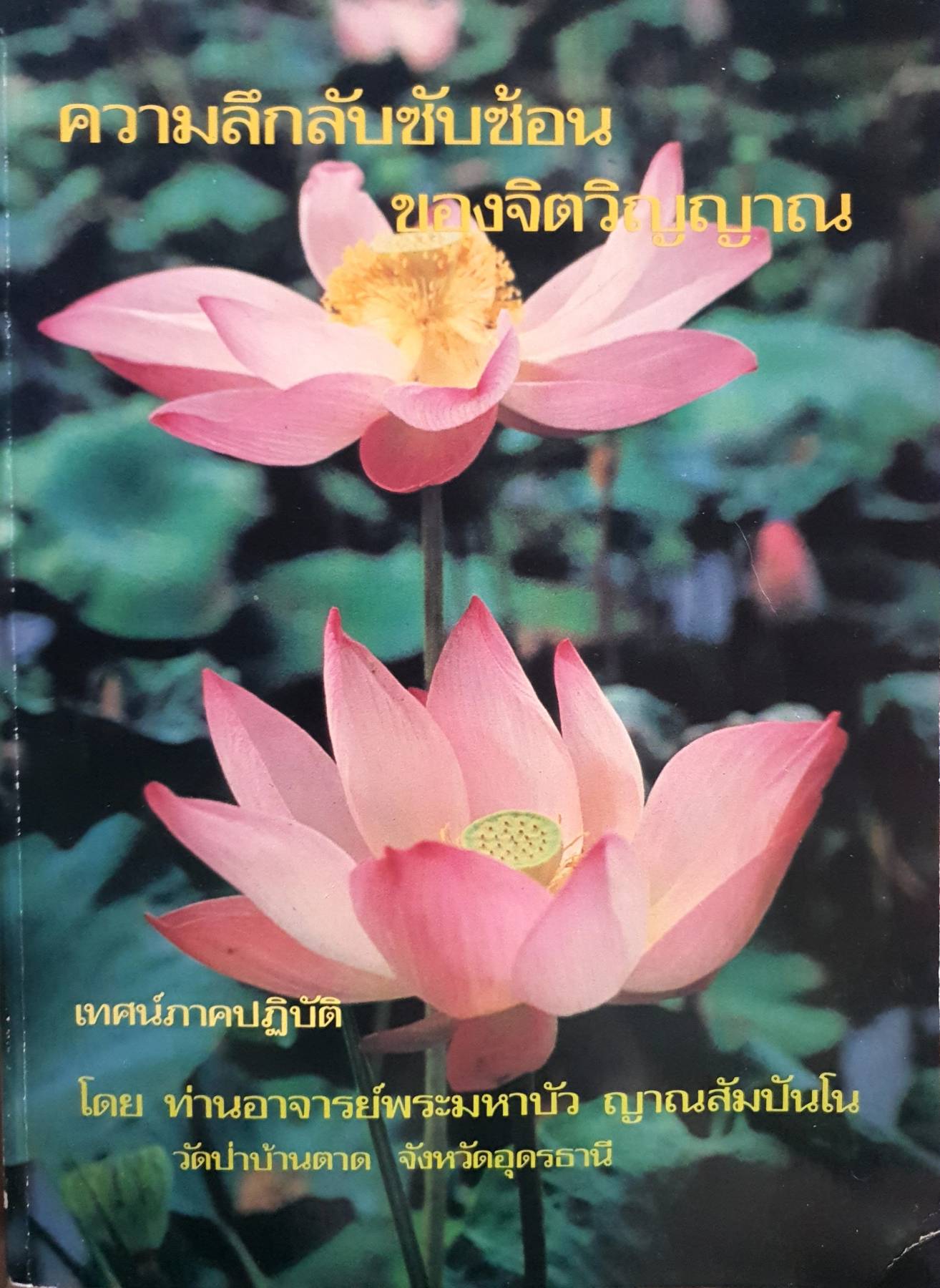 ความลึกลับซับซ้อน ของจิตวิญญาณ เทศน์ภาคปฏิบัติ โดย ท่านอาจารย์พระมหาบัว ญาณสัมปันโน วัดป่าบ้านตาด จังหวัดอุดรธานี
