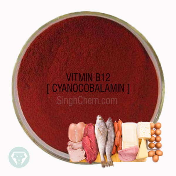 วิตามินบี12 (Vitamin B12)