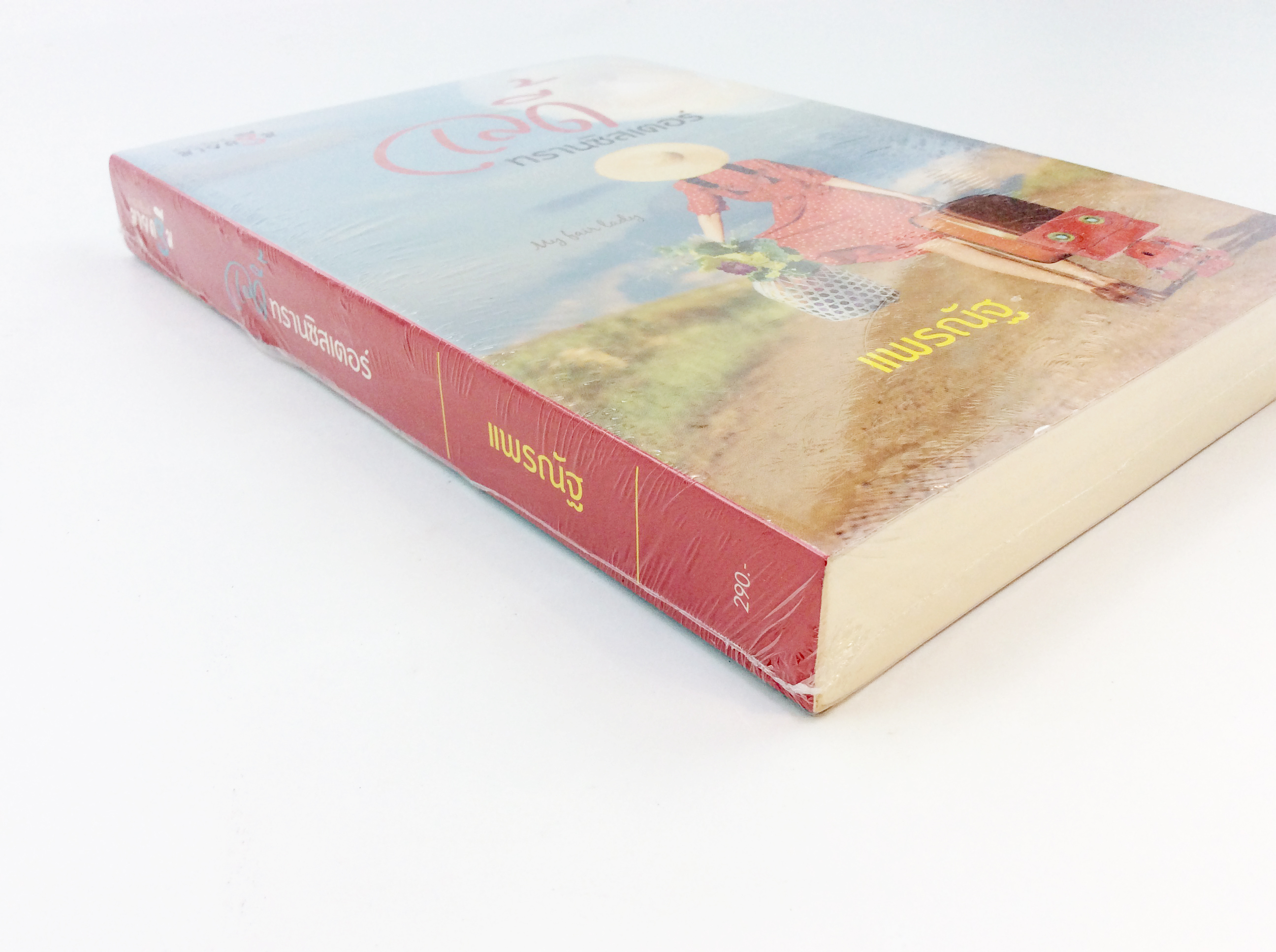 เลดี้ทรานซิลเตอร์ นิยาย นิยายลดราคา หนังสือ นิยาย