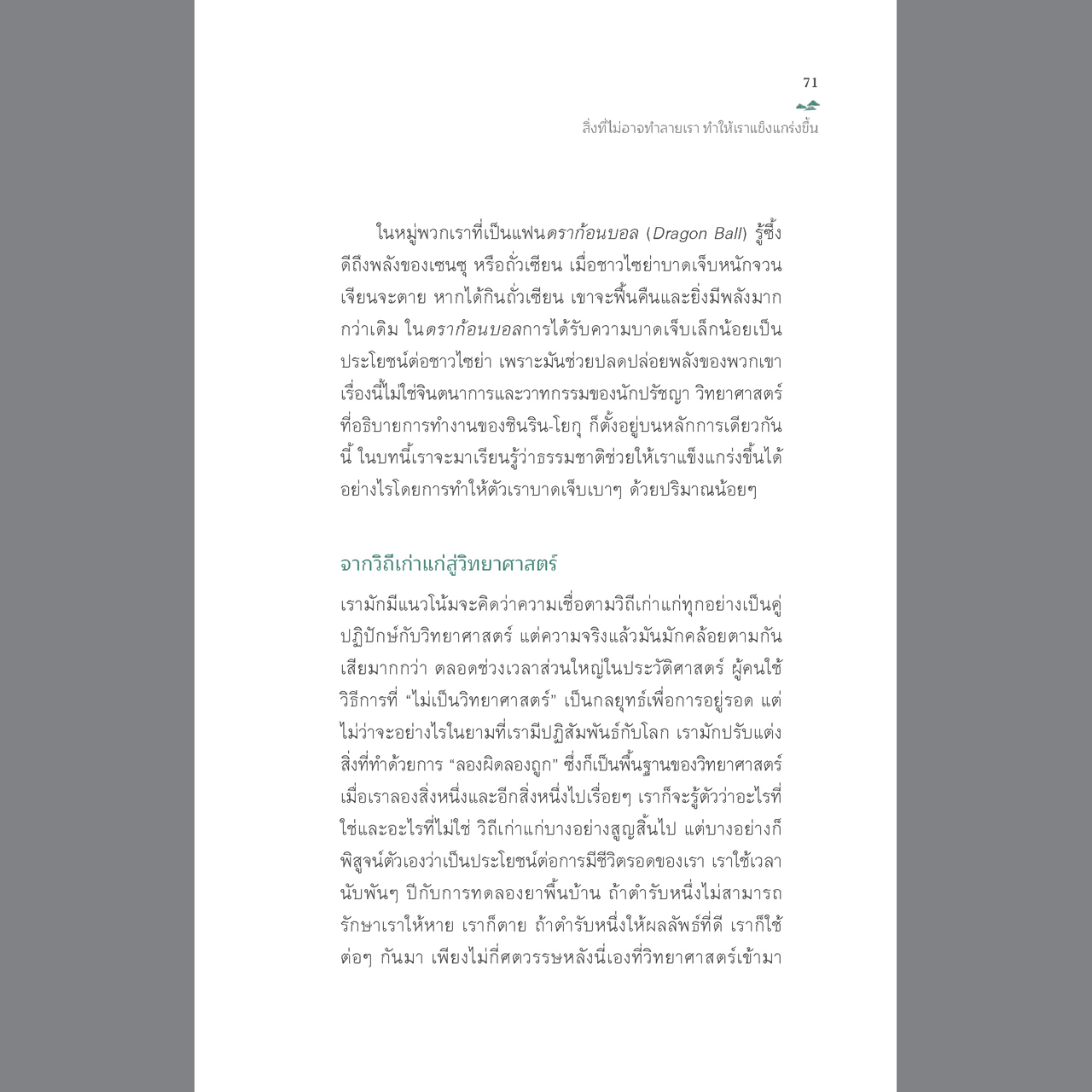 อาบป่า ชินริน-โยกุ วิถีแห่งการฟื้นฟูชีวิต