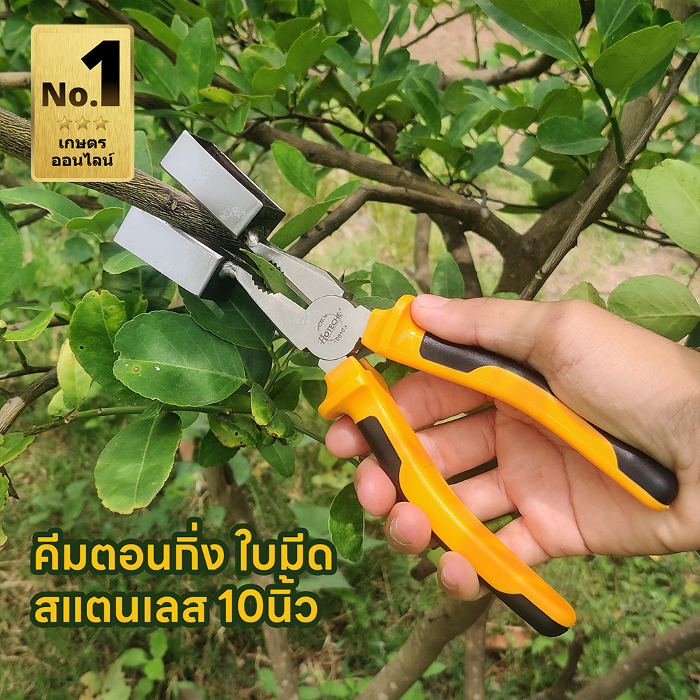 คีมตอนกิ่ง ใบมีดสแตนเลส ขนาด 10 นิ้ว