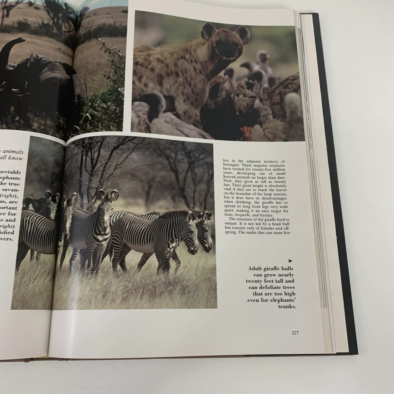 Wilderness Expeditions Hardcover – January 1, 1981