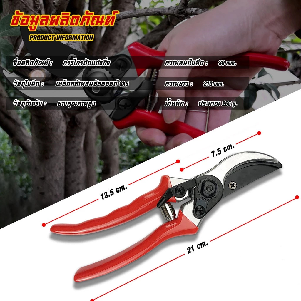 กรรไกรตัดกิ่ง เหล็ก SK5 + อลูมิเนียมอัลลอยด์ กรรไกรตัดแต่งกิ่งไม้ ขนาด 8นิ้ว คมมากๆ