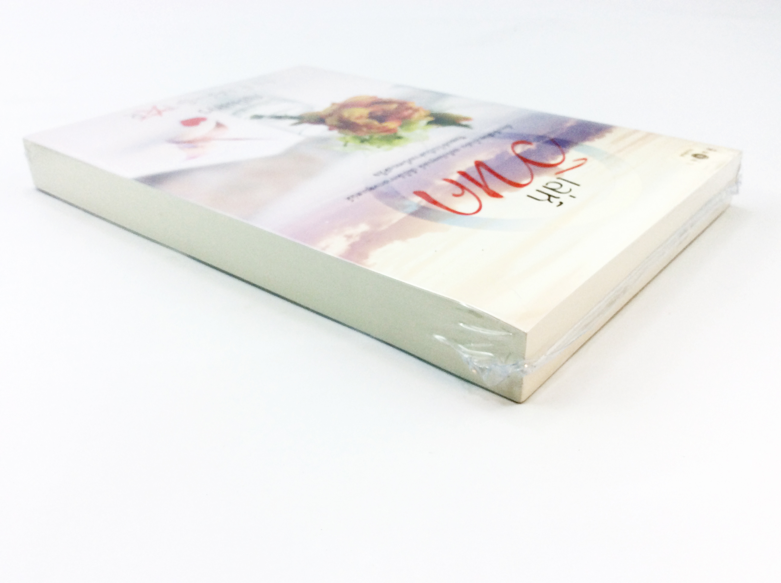 เล่ห์วิหค นิยาย นิยายลดราคา หนังสือนิยาย