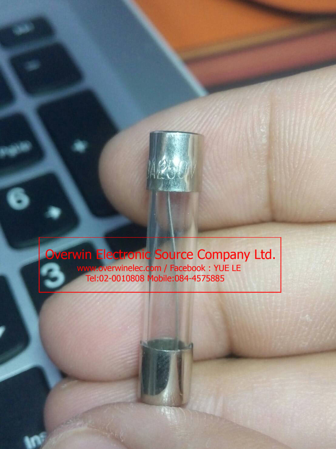 F30A250V FUSE