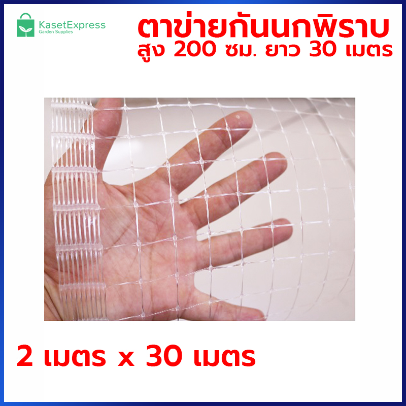 ตาข่ายกันนกพิราบ 2x30 เมตร สีใส - ตาข่ายพลาสติก ตาข่ายกันนก ตาข่ายล้อมไก่ ตาข่ายกันนก ตาข่ายล้อมรั้ว