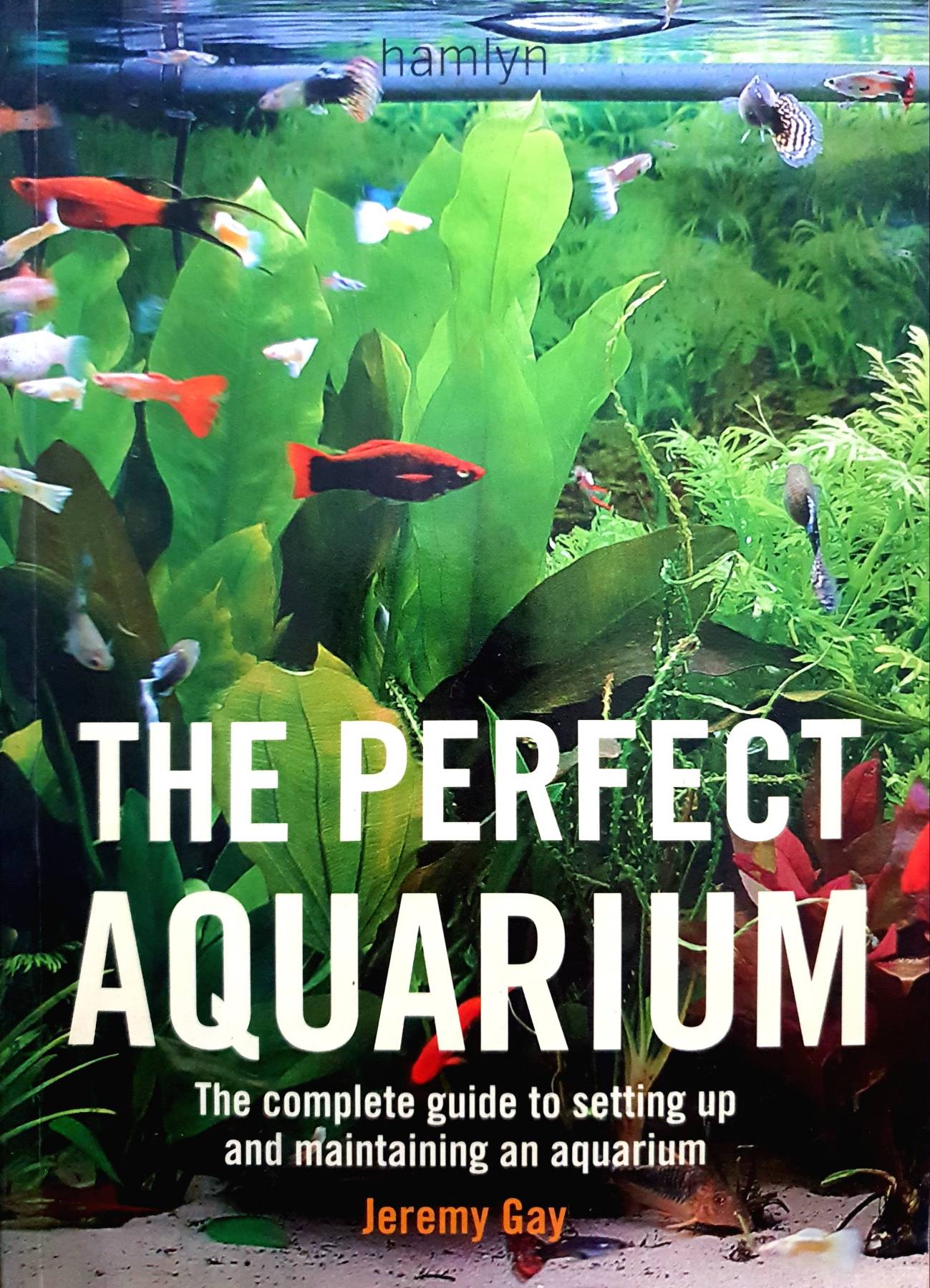 The Perfect Aquarium : Jeremy Gay