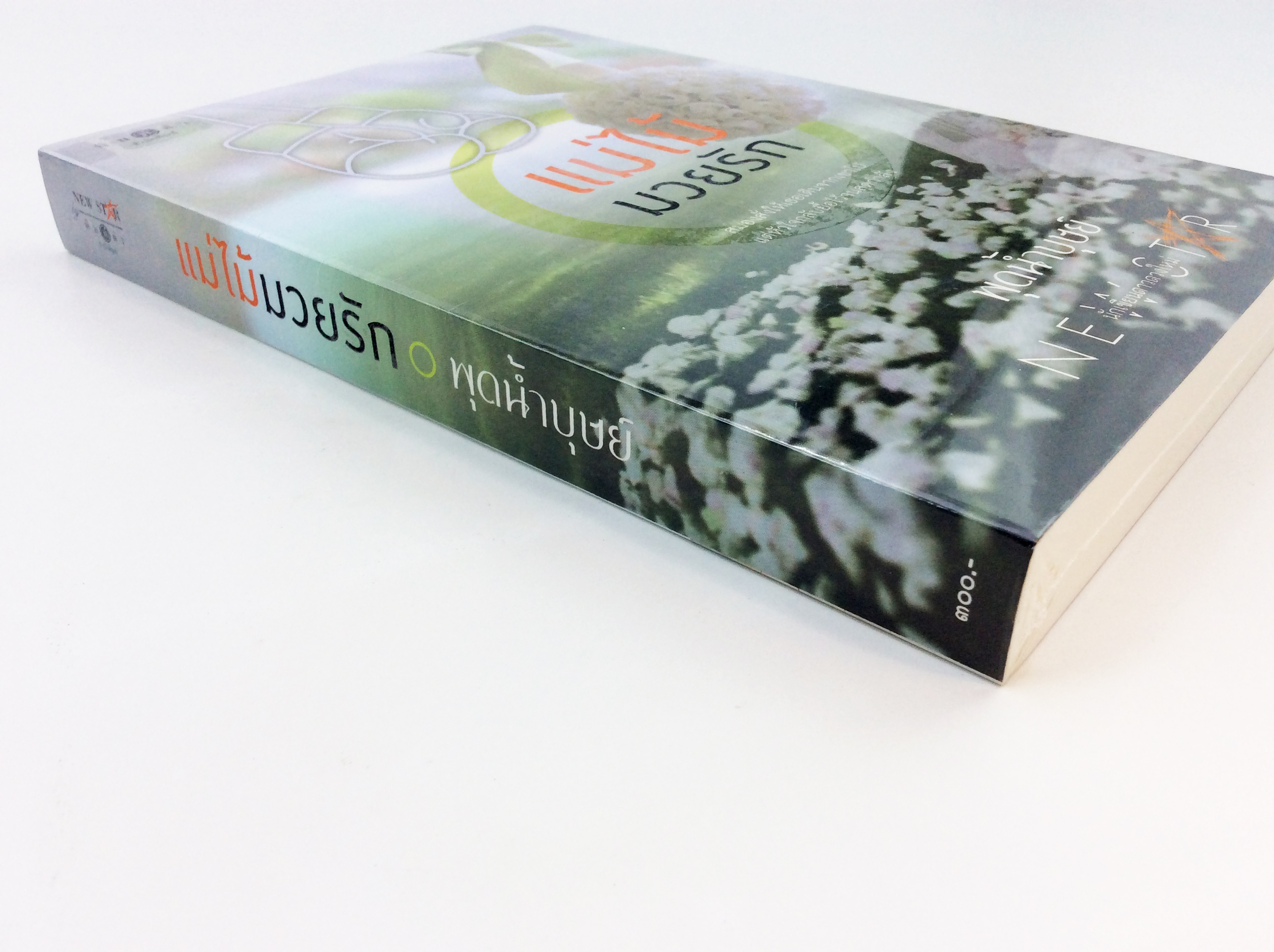 แม่ไม้ มวยรัก นิยาย นิยายลดราคา หนังสือนิยาย