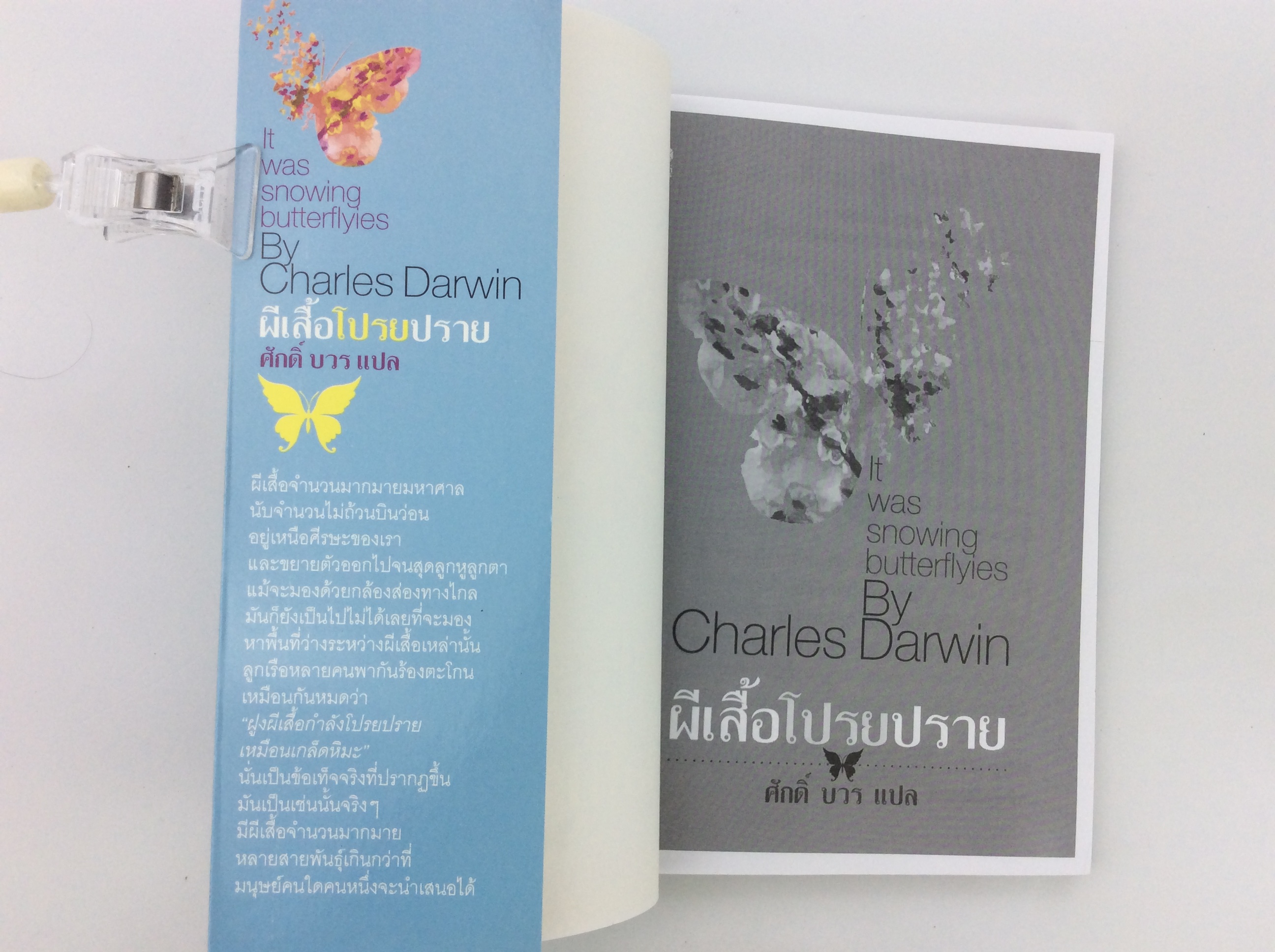 ผีเสื้อโปรยปราย วรรณกรรมคลาสสิก หนังสือแปล วรรณกรม หน้งสือนิยาย หนังสือ นิยาย หนังสือมือหนึ่ง