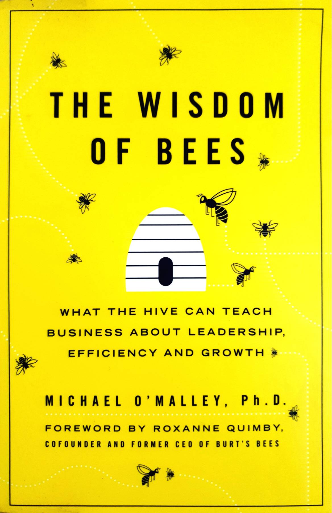 The Wisdom of Bees: What the Hive Can Teach Business about Leadership, Efficiency,