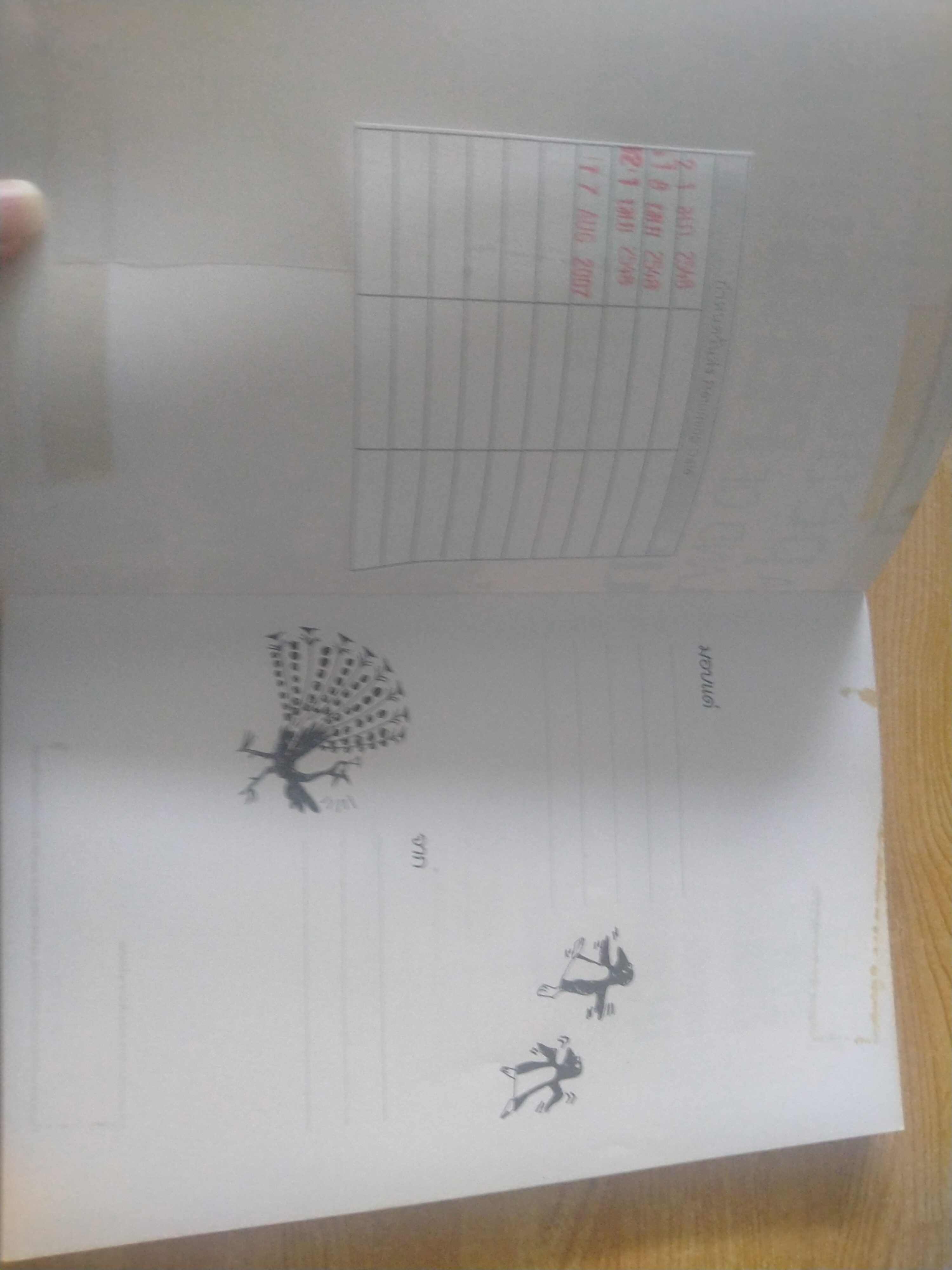 นกยูงตัวหนึ่งในดินแดนของนกเพนกวิน