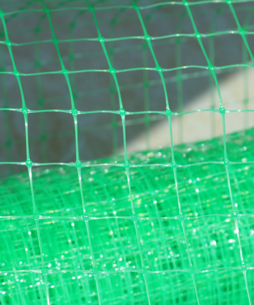ตาข่ายกันนกพิราบ 1x30 เมตร สีเขียว - ตาข่ายพลาสติก ตาข่ายกันนก ตาข่ายล้อมไก่ ตาข่ายล้อมบ่อปลา ตาข่ายล้อมรั้ว ตะข่าย