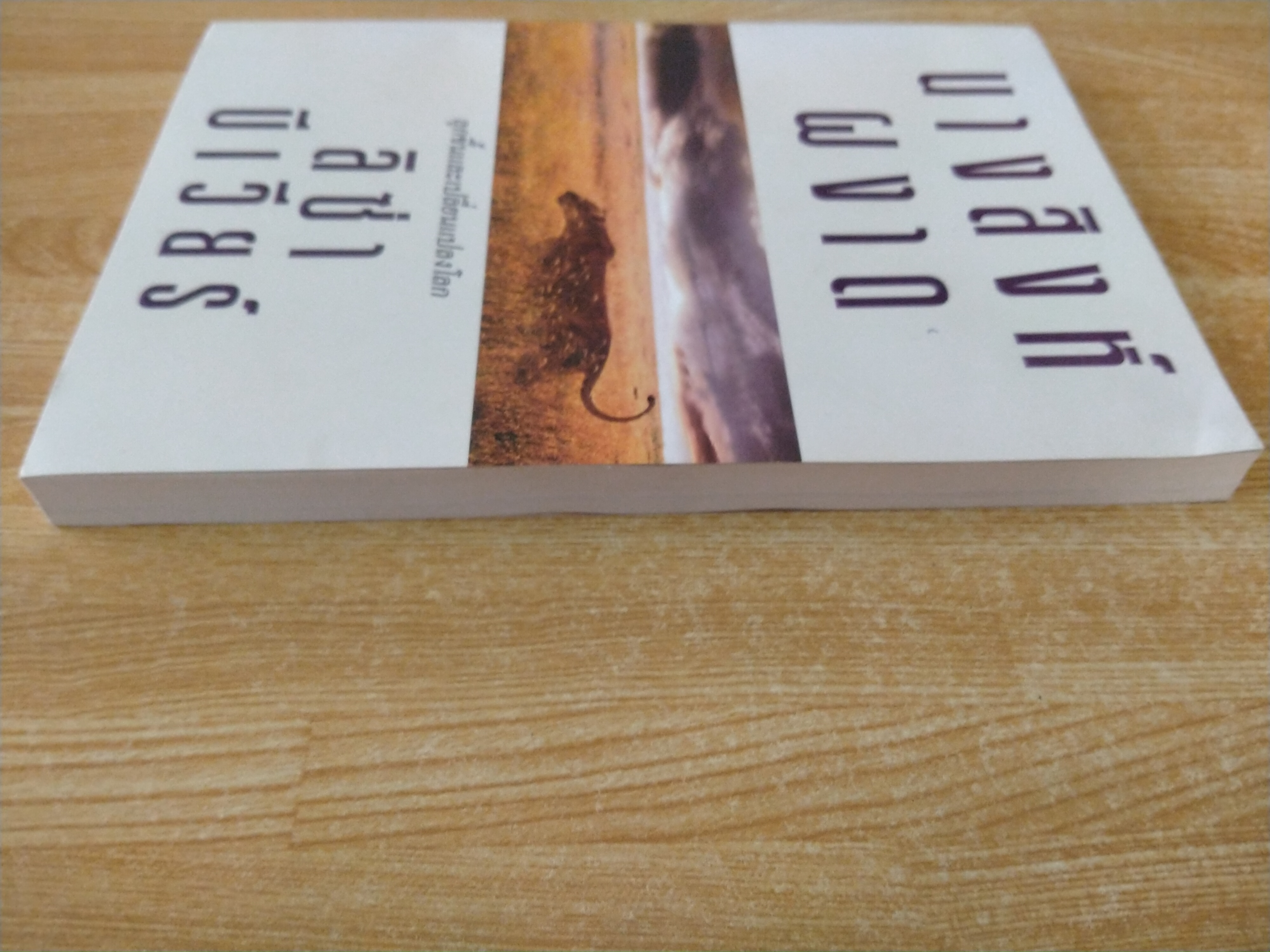 นางสิงห์ผงาด