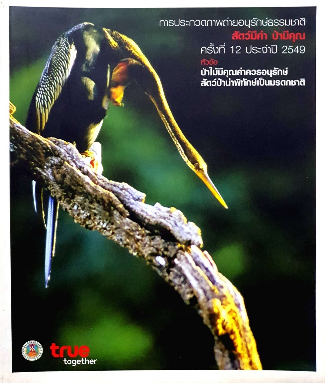 การประกวดภาพถ่ายอนุรักษ์ธรรมชาติ สัตว์มีค่า ป่ามีคุณ ครั้งที่ 12 ประจำปี 2549