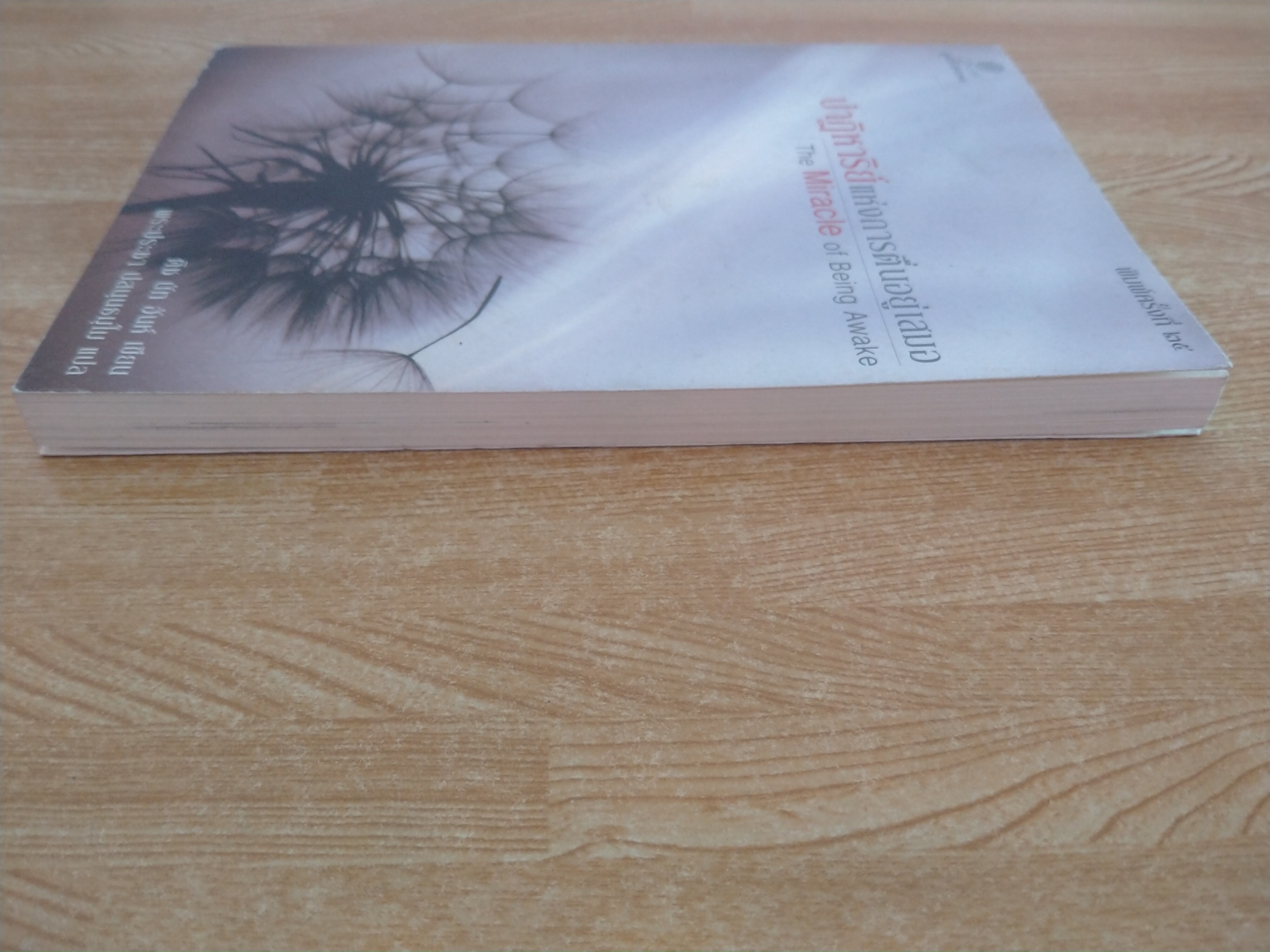 ปาฏิหาริย์แห่งการตื่นอยู่เสมอ