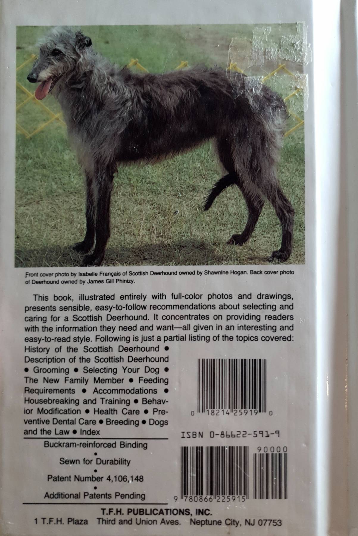 Australian Kelpies : Steve Sloane