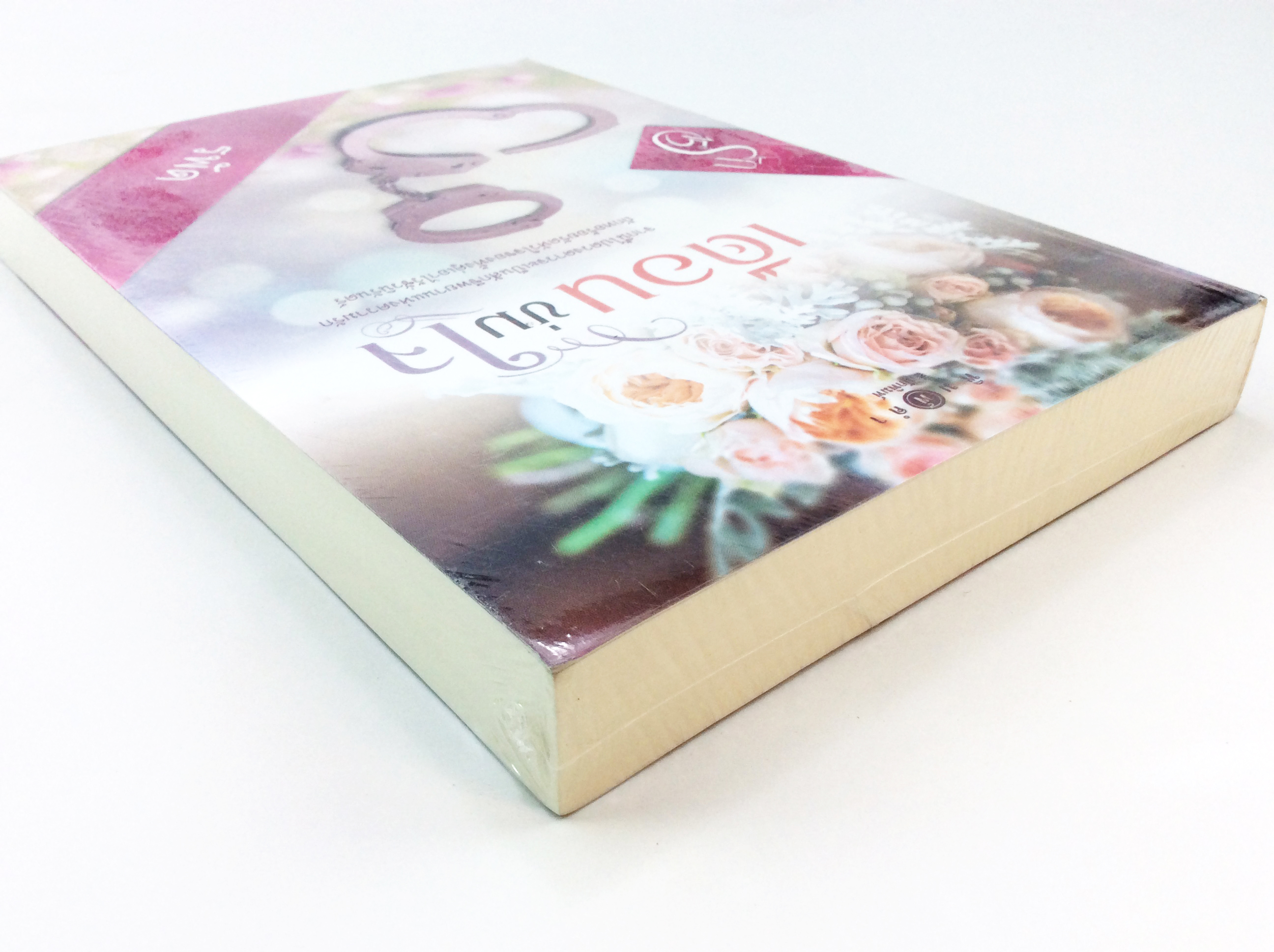 เดือนข่มใจ นิยาย นิยายลดราคา หนังสือนิยาย