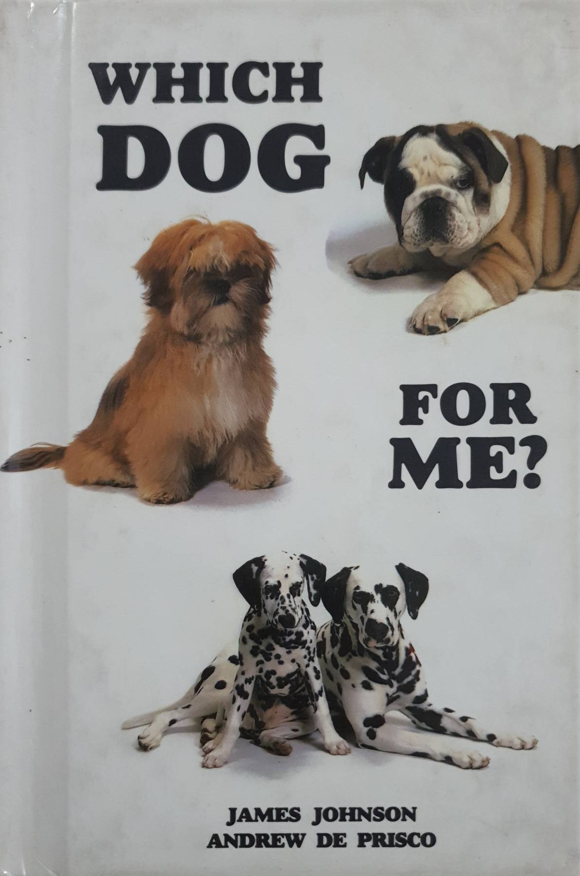 Which Dog for Me? Hardcover