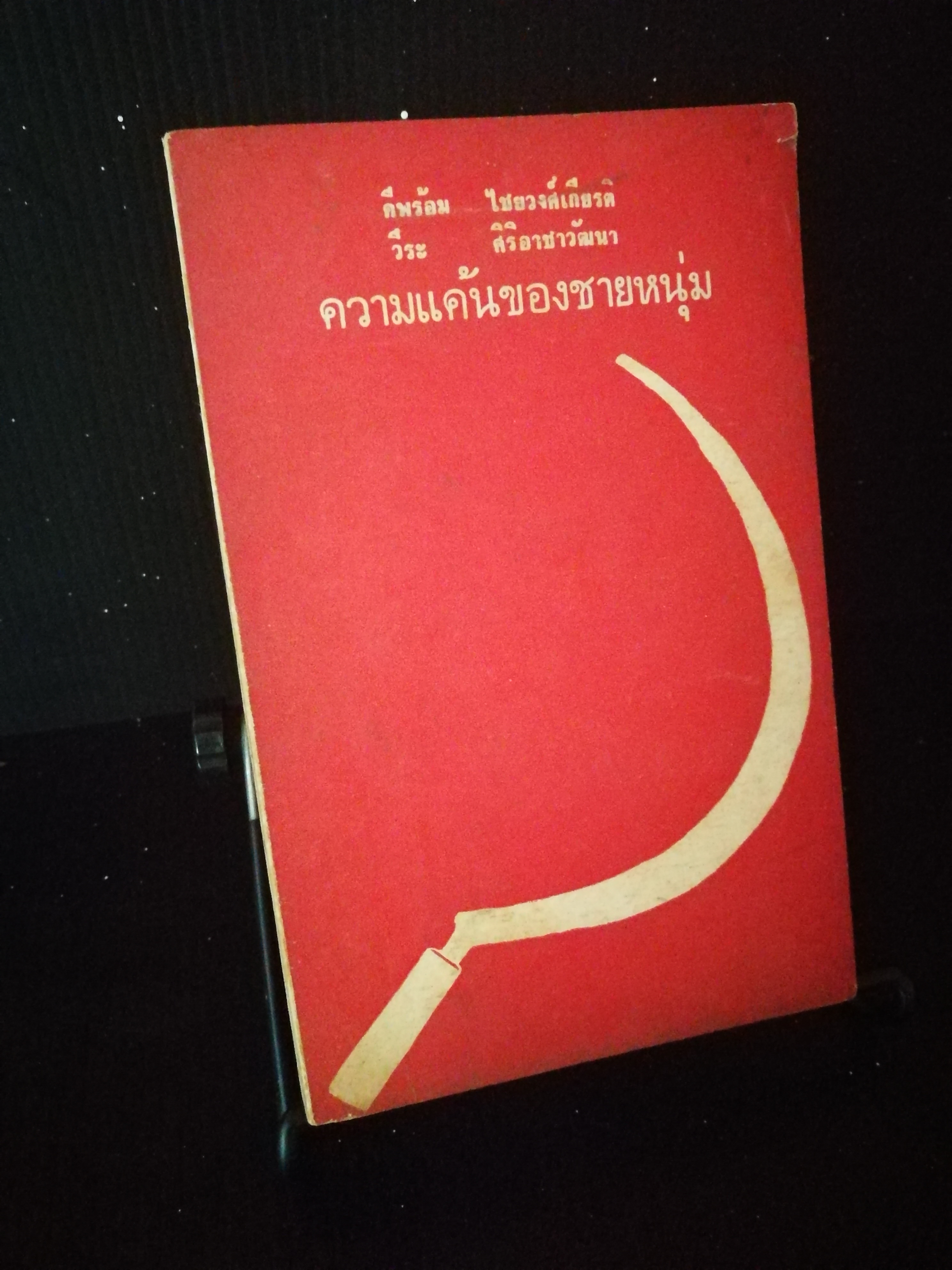 ความแค้นของชายหนุ่ม