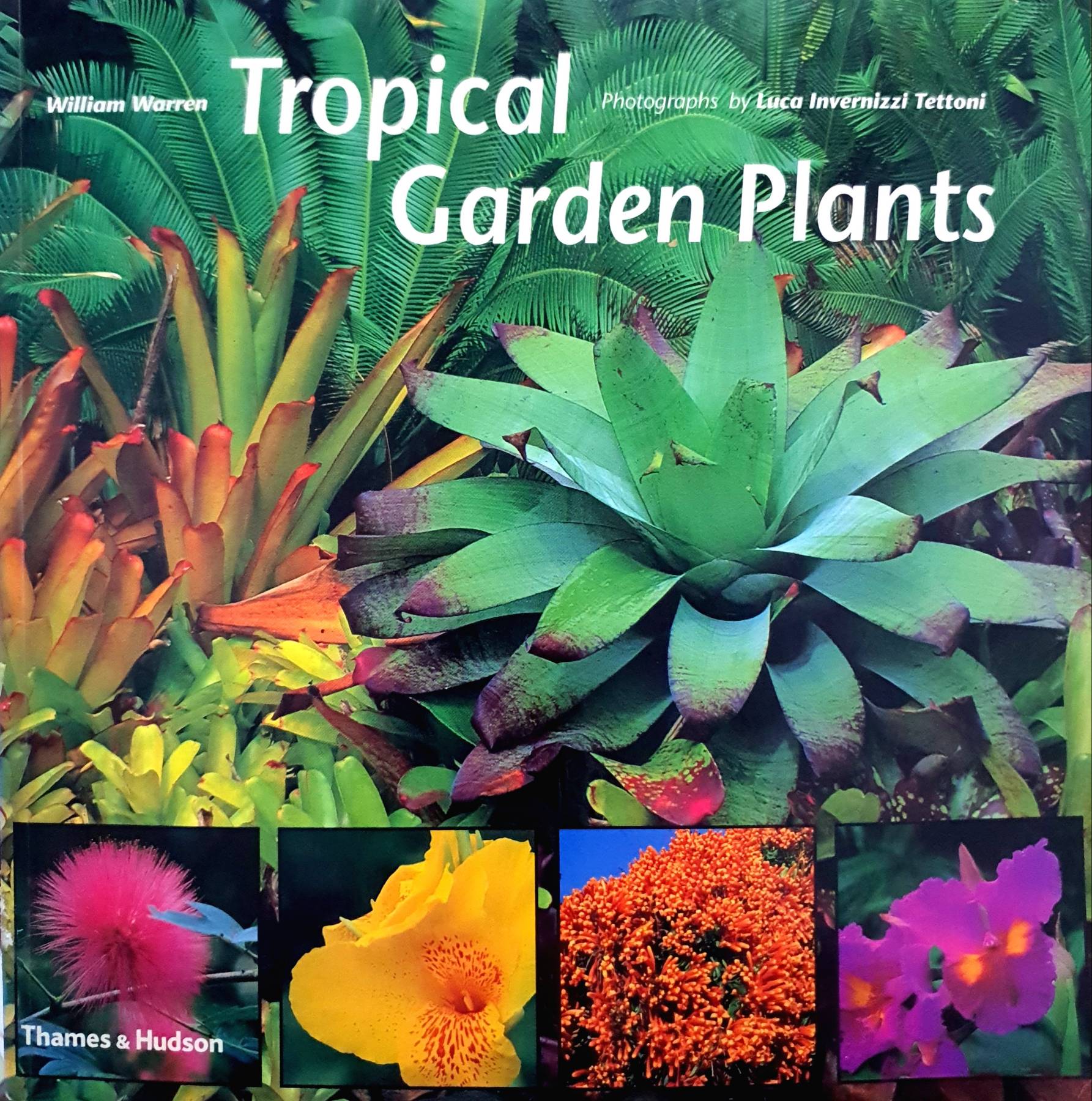 Tropical Garden Plants (Paperback) : William Warren
