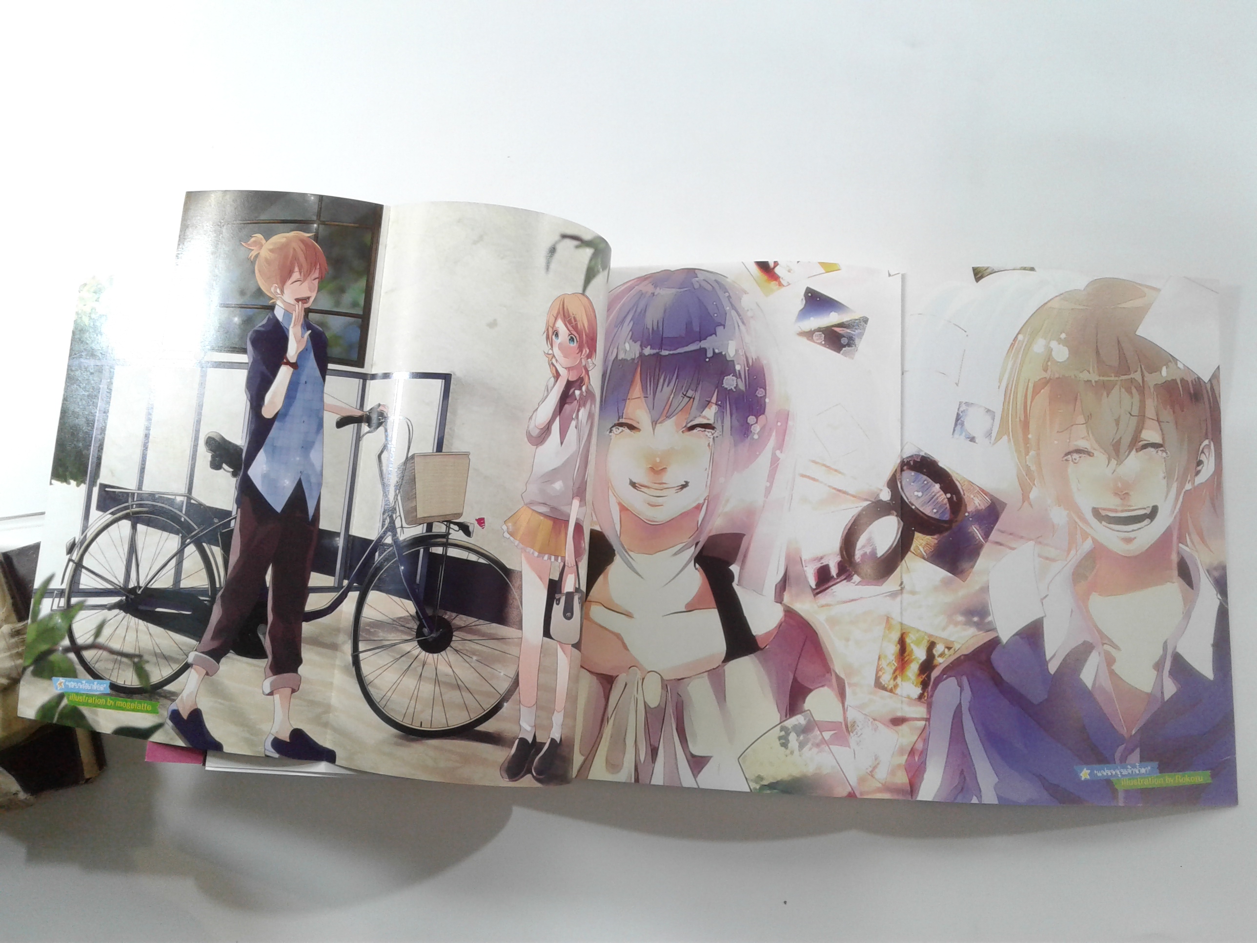 กลุ้มชะมัดเกลียดหรือรักนายนักตื๊อ นิยาย นิยายแปล ไลท์โนเวล