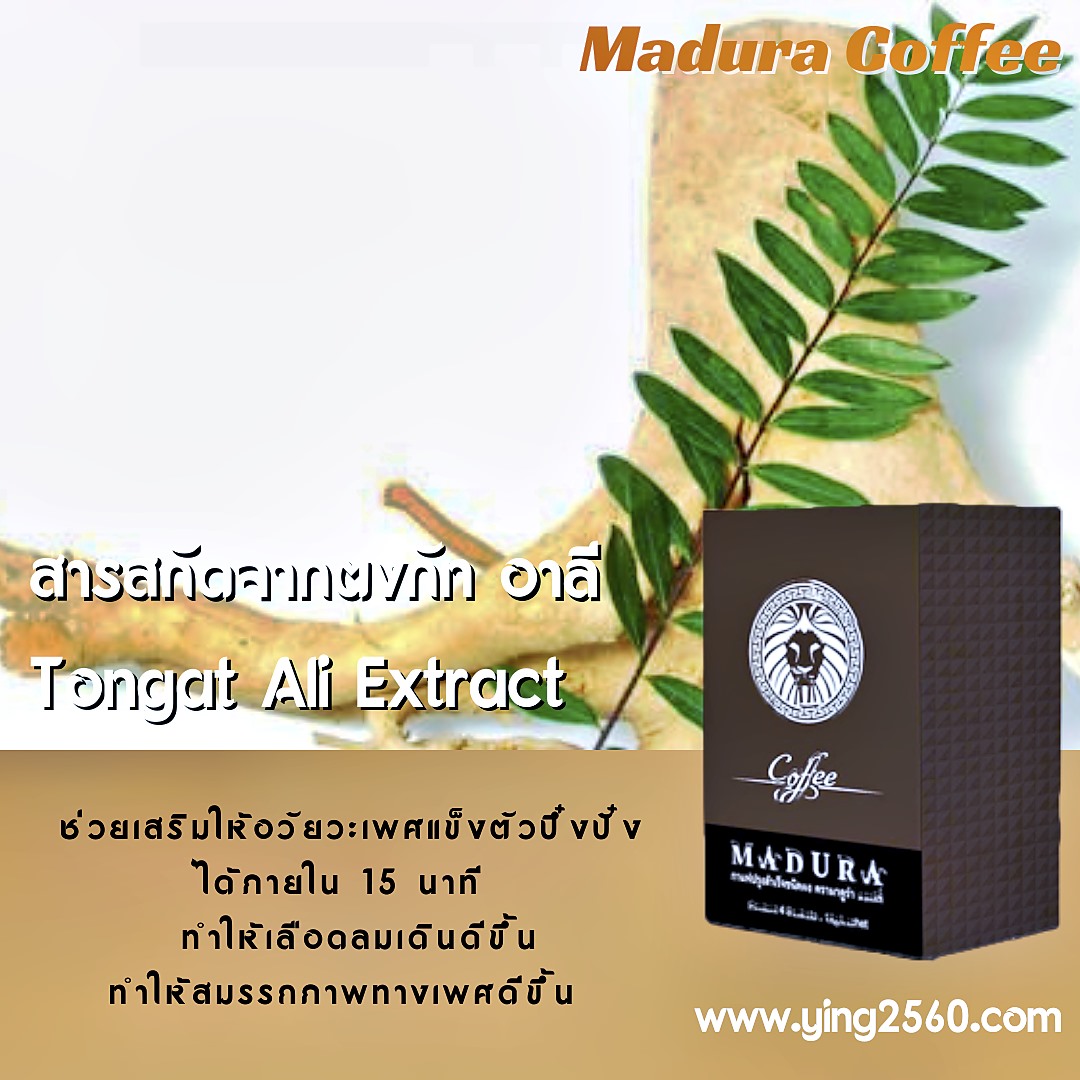กาแฟผู้ชาย,Madura Coffee,เพิ่มสมรรถภาพทางเพศ,บำรุงกำลัง,อึด ทนนาน,ชะลอการหลั่ง