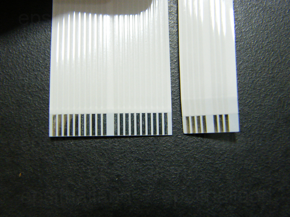 EPSON EPSON CABLE,HEAD,F2(2145558) CABLE ENCODE F2 CISS ASSY,CC26;EPPI(1616017) L110/120/210/220/300/310/350/355/360/365/380/385 ขายคู่ 500 กรัม