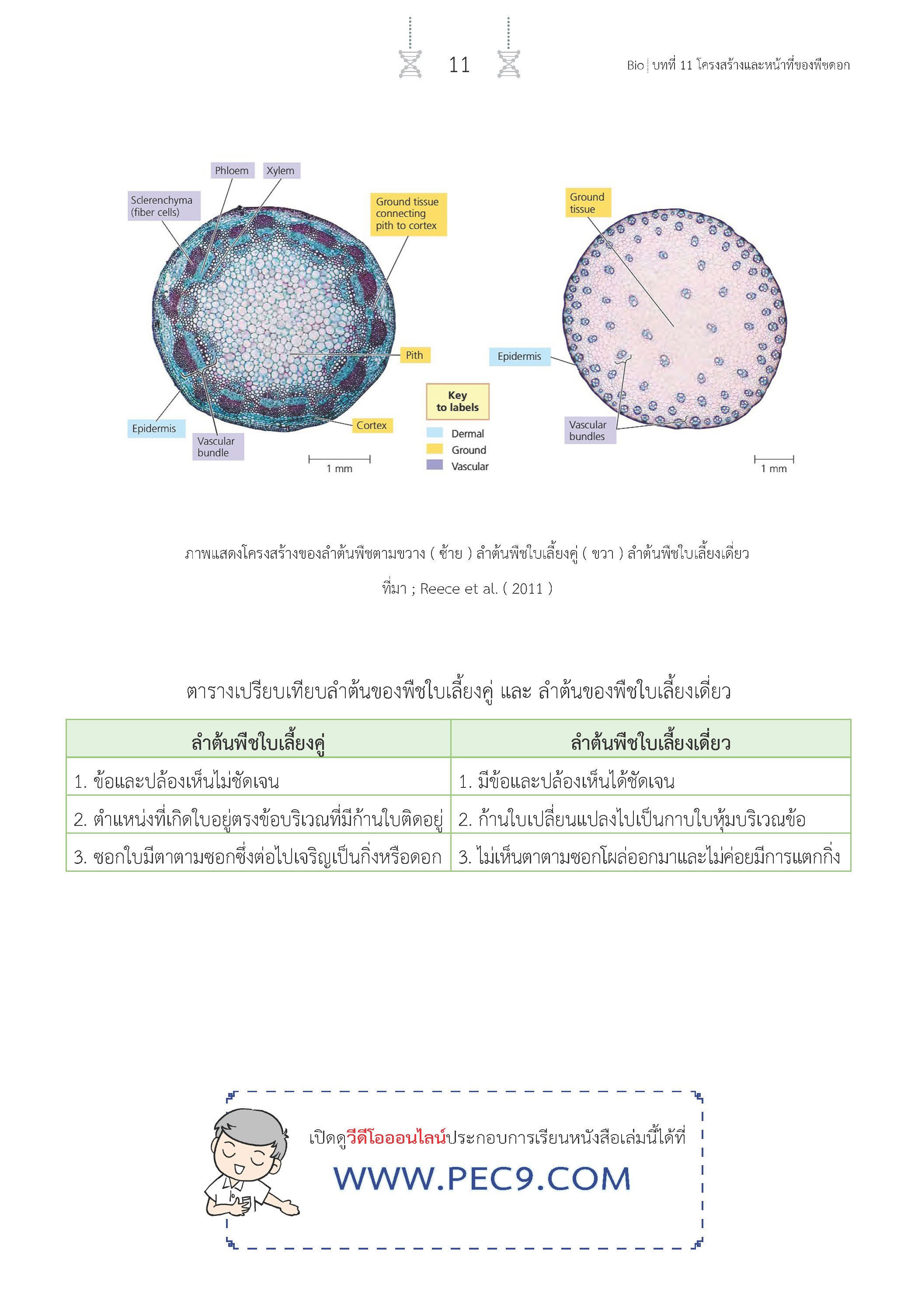 สรุปเข้ม ชีววิทยา เล่ม 2 (พิมพ์ 4 สี)