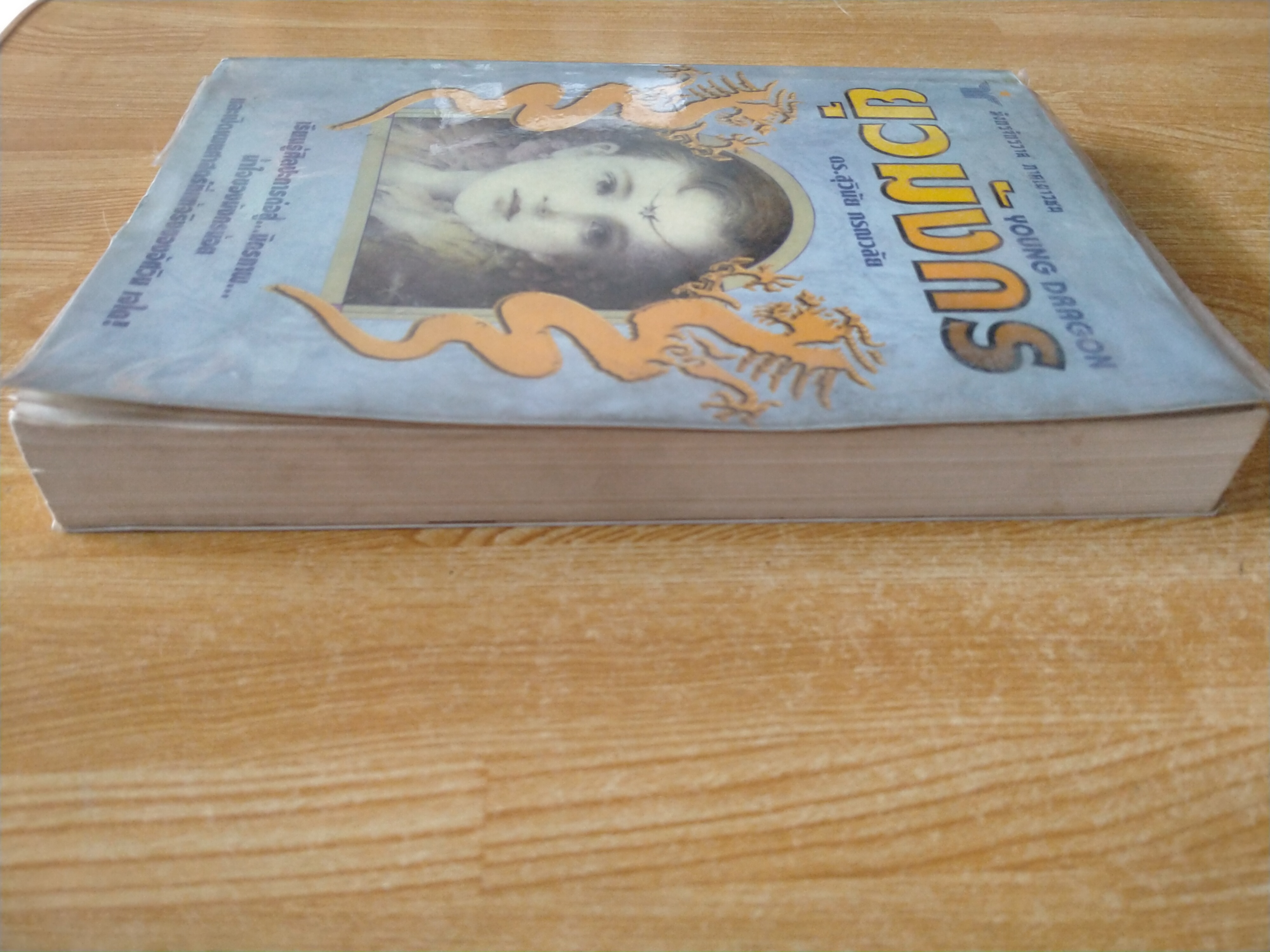 ยุวมังกร (มังกรจักรวาล ภาคเยาวชน)