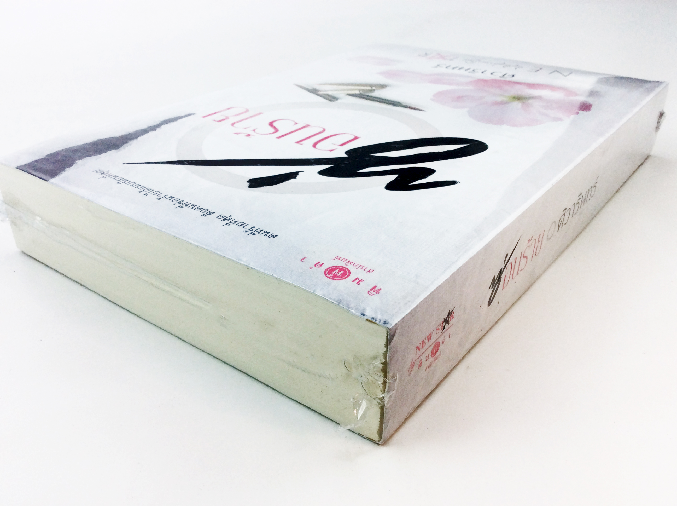 ซ่อนร้าย นิยาย นิยายลดราคา หนังสือ นิยาย