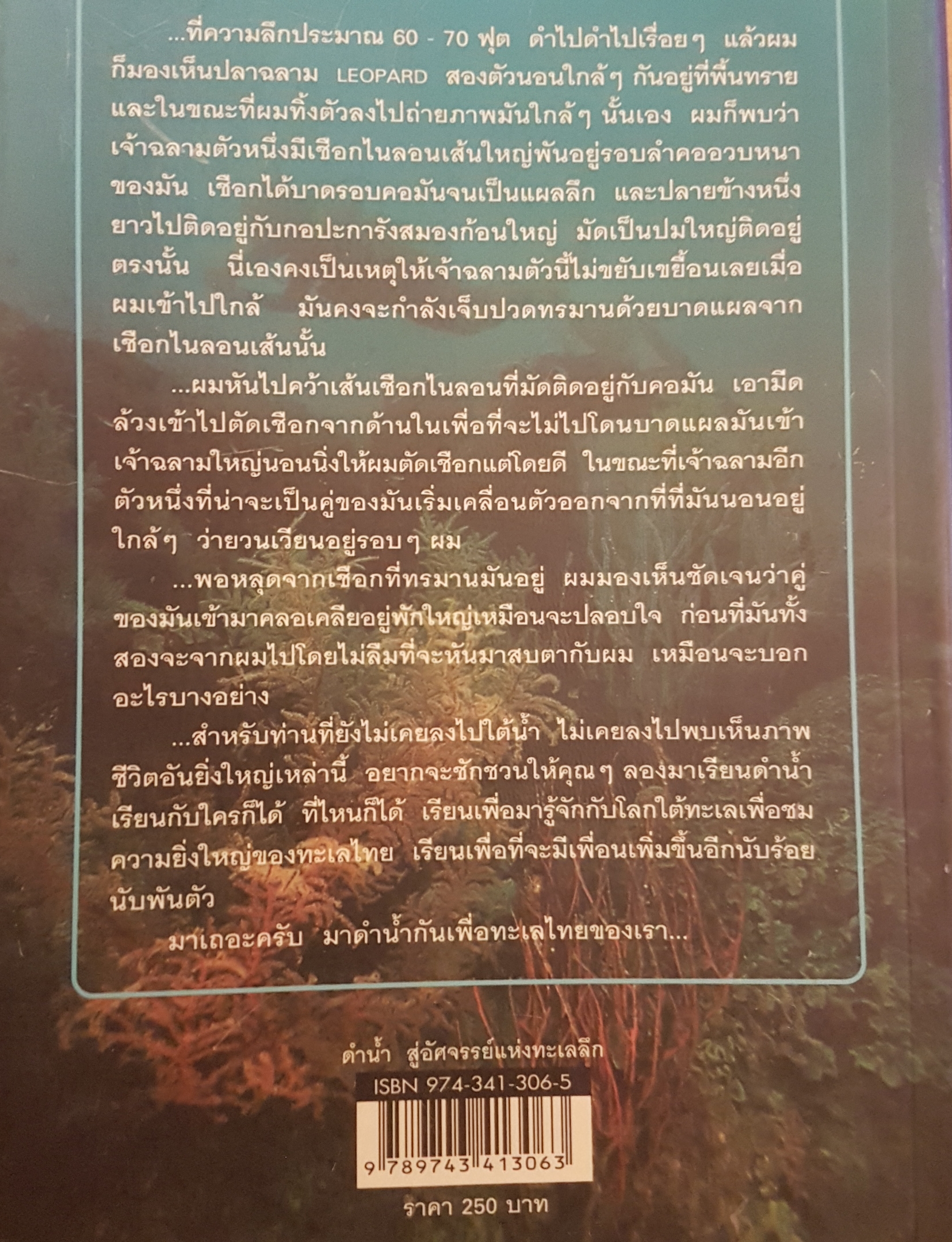 ดำน้ำสู่อัศจรรย์ แห่งทะเลลึก