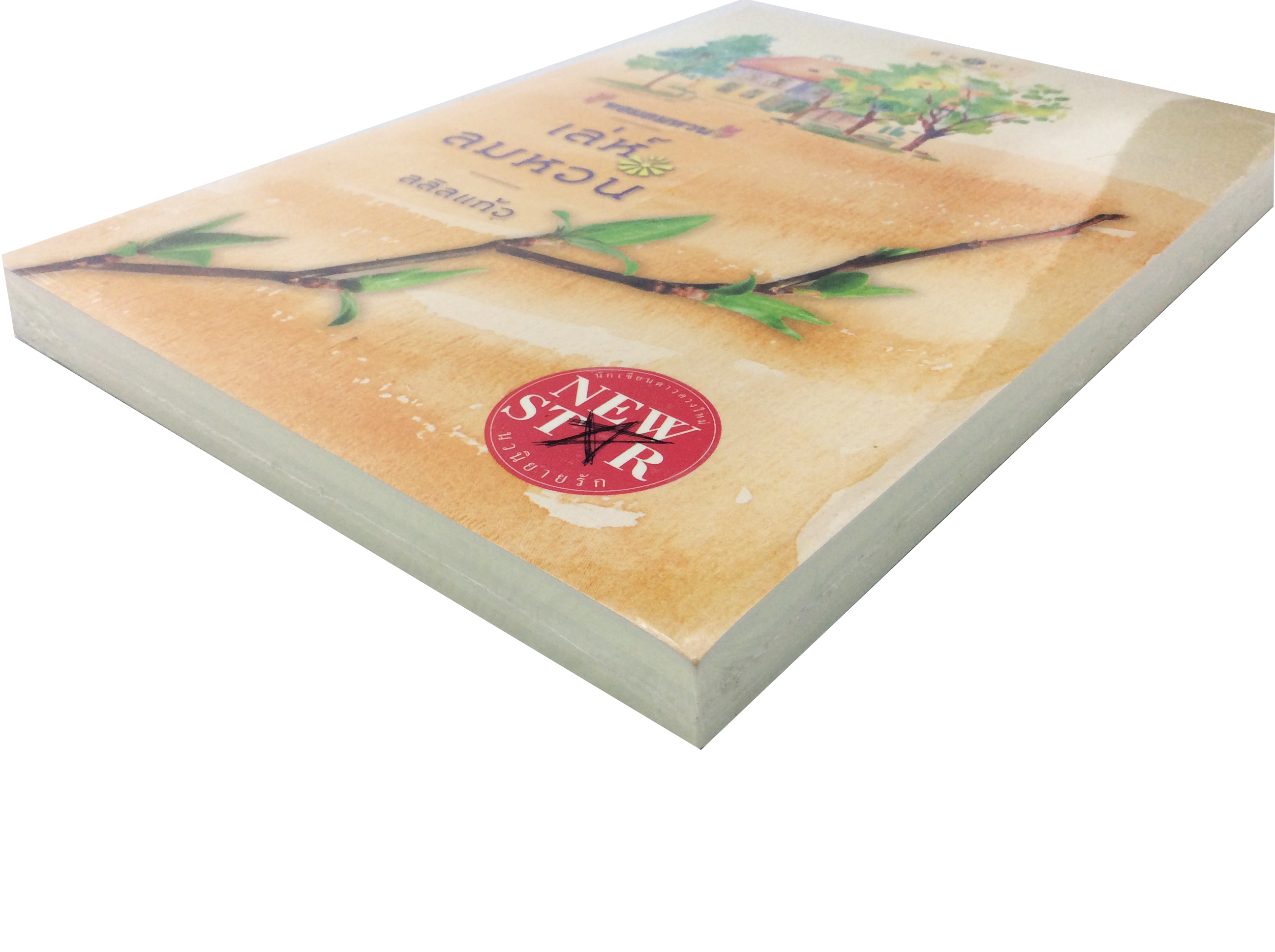 เล่ห์ลมหวน นิยาย นิยายลดราคา หนังสือนิยาย