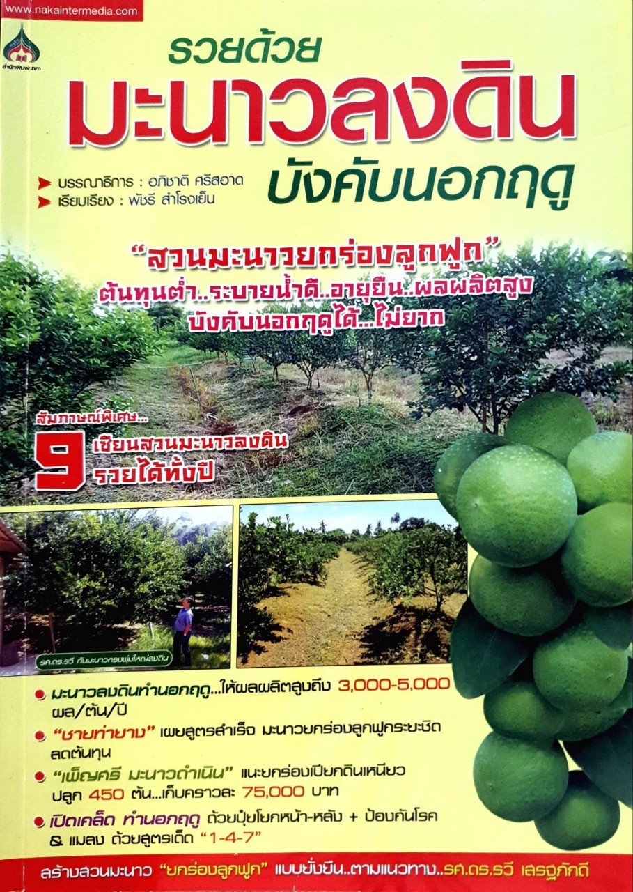 รวยด้วยมะนาวลงดิน บังคับนอกฤดู : พัชรี สำโรงเย็น / อภิชาติ ศรีสะอาด บก.