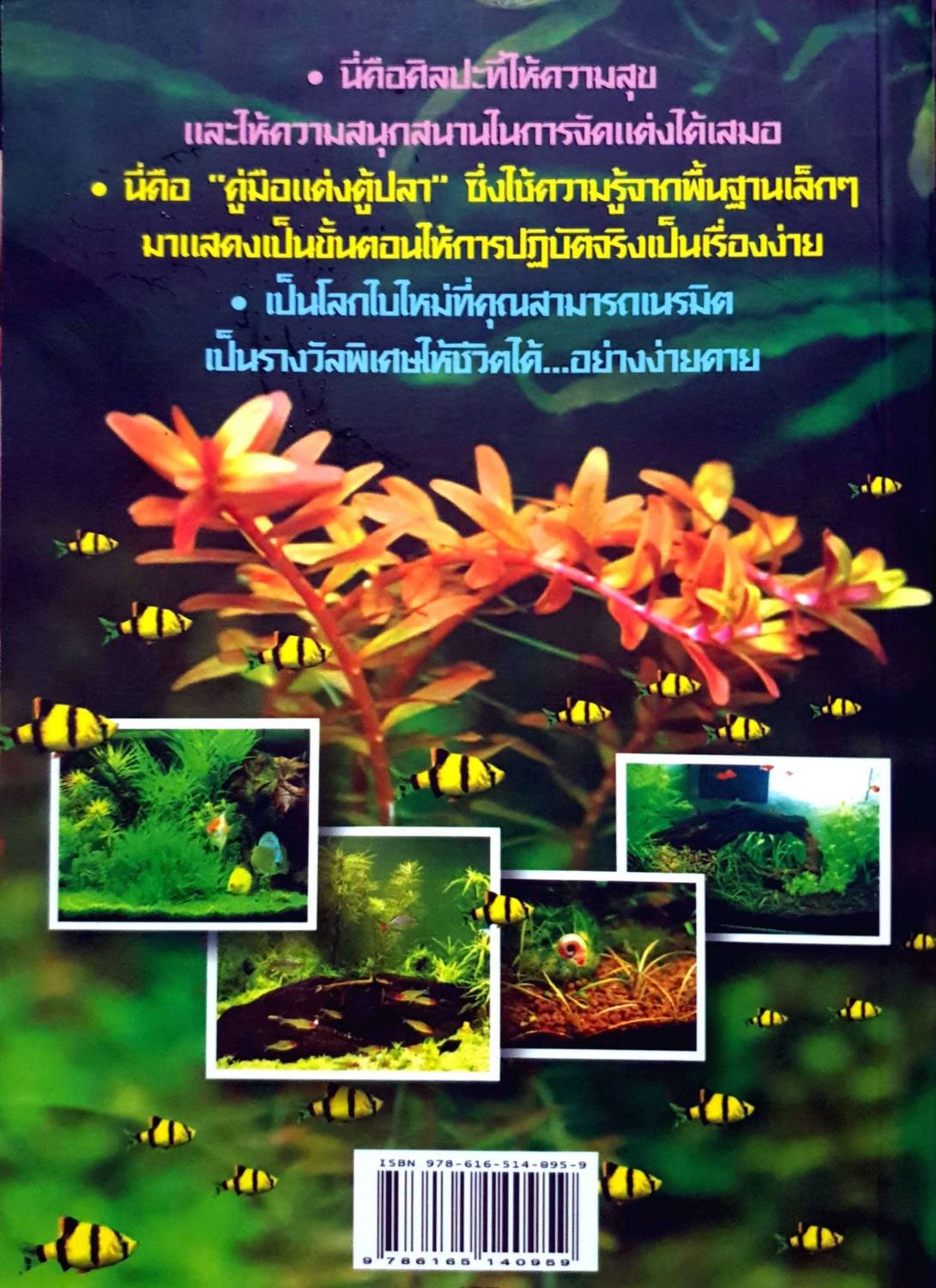 คู่มือแต่งตู้ปลา