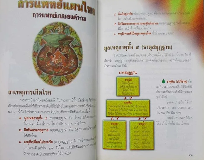 การแพทย์แผนไทย