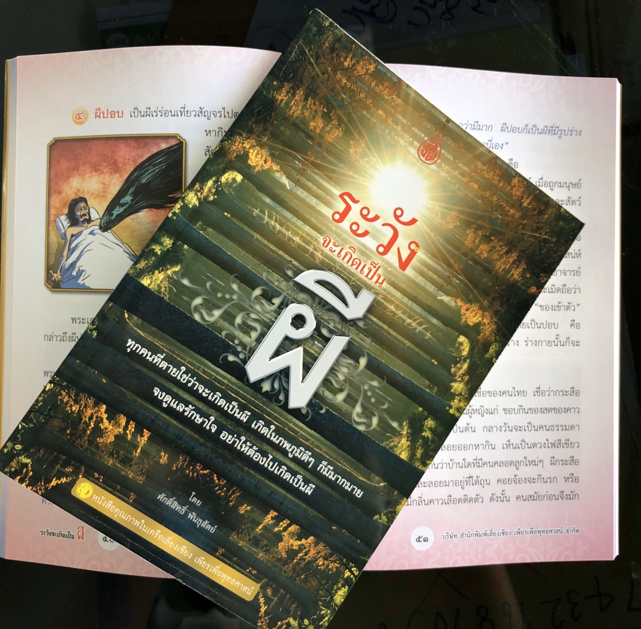 ระวังจะเกิดเป็นผี ทุกคนที่ตายใช่ว่าจะเกิดเป็นผี เกิดในภพภูมิดีๆ ก็มีมากมาย จงดูแลรักษาใจ อย่าให้ต้องไปเกิดเป็นผี