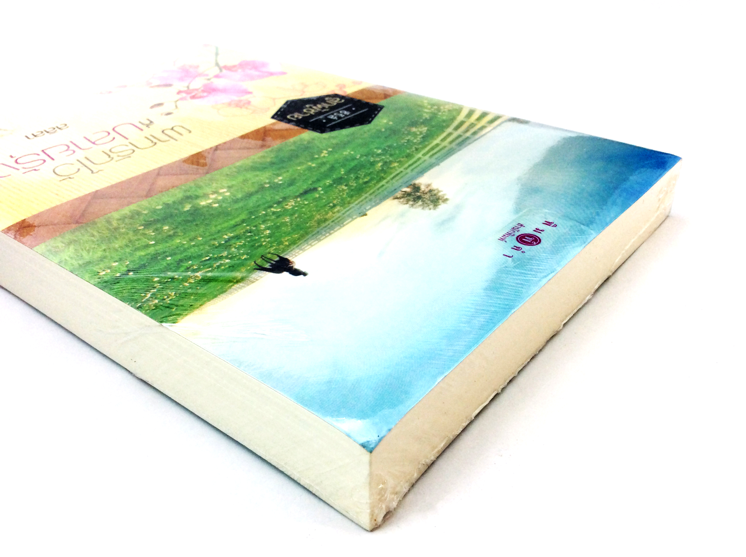 ฝากรักไว้ที่ปลายรุ้ง นิยาย นิยายลดราคา หนังสือนิยาย