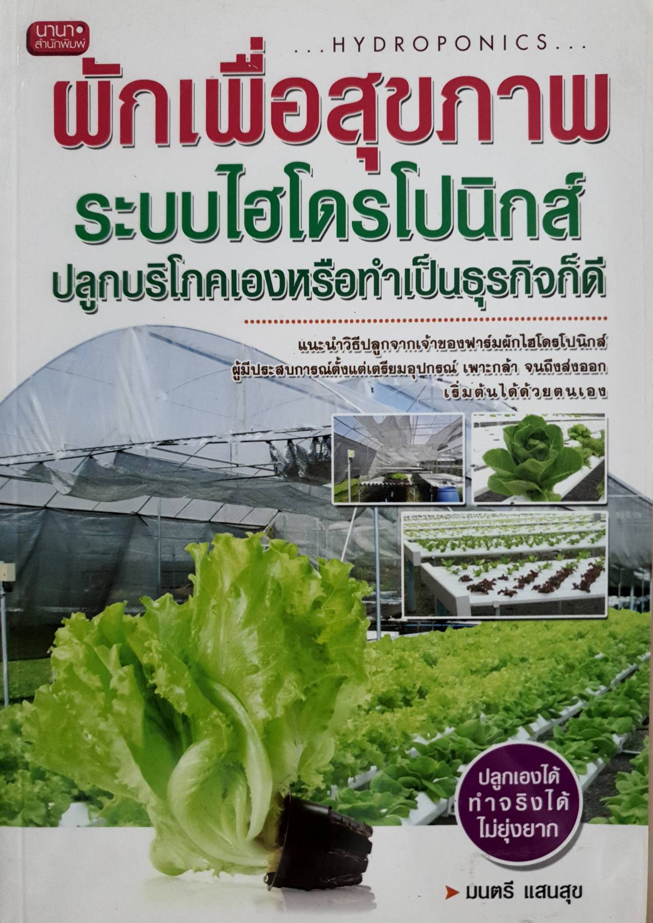 ผักเพื่อสุขภาพ ระบบไฮโดรโปนิกส์ ปลูกบริโภคเองหรือทำเป็นธุรกิจก็ดี แนะนำวิธีปลูกจากเจ้าของฟาร์มผักไฮโดรโปนิกส์