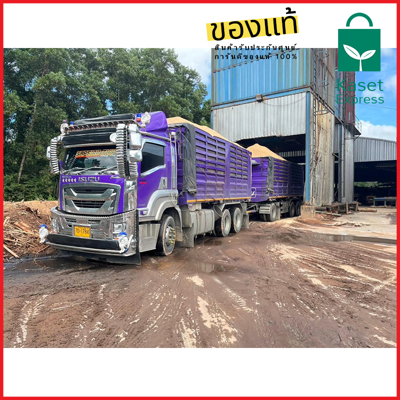 จำหน่ายขี้เลื่อยไม้ยางพารา สำหรับเพาะเห็ด คุณภาพดี ราคาส่งจากโรงงาน!