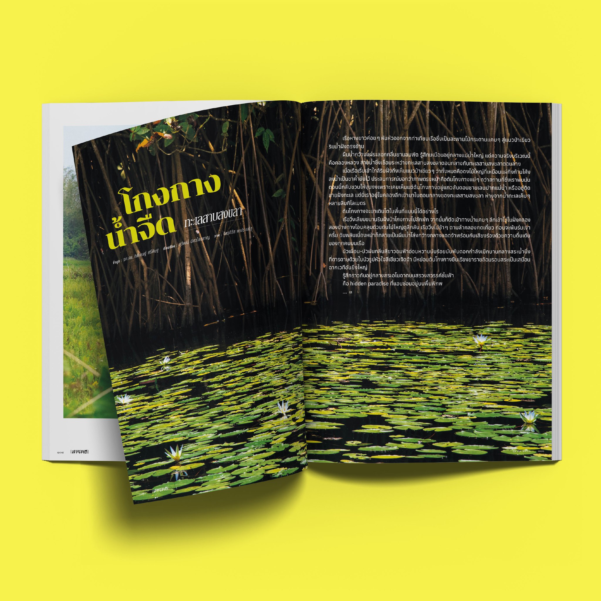 นิตยสาร สารคดี ฉบับที่ 487 ตุลาคม 2568 Hidden Paradise ก่อนธรรมชาติจะสูญหาย