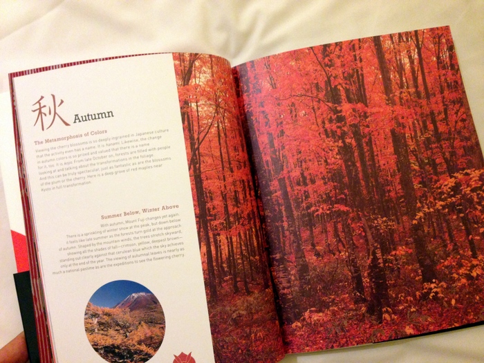 Japan: A Pictorial Portrait : Kenzo Takada